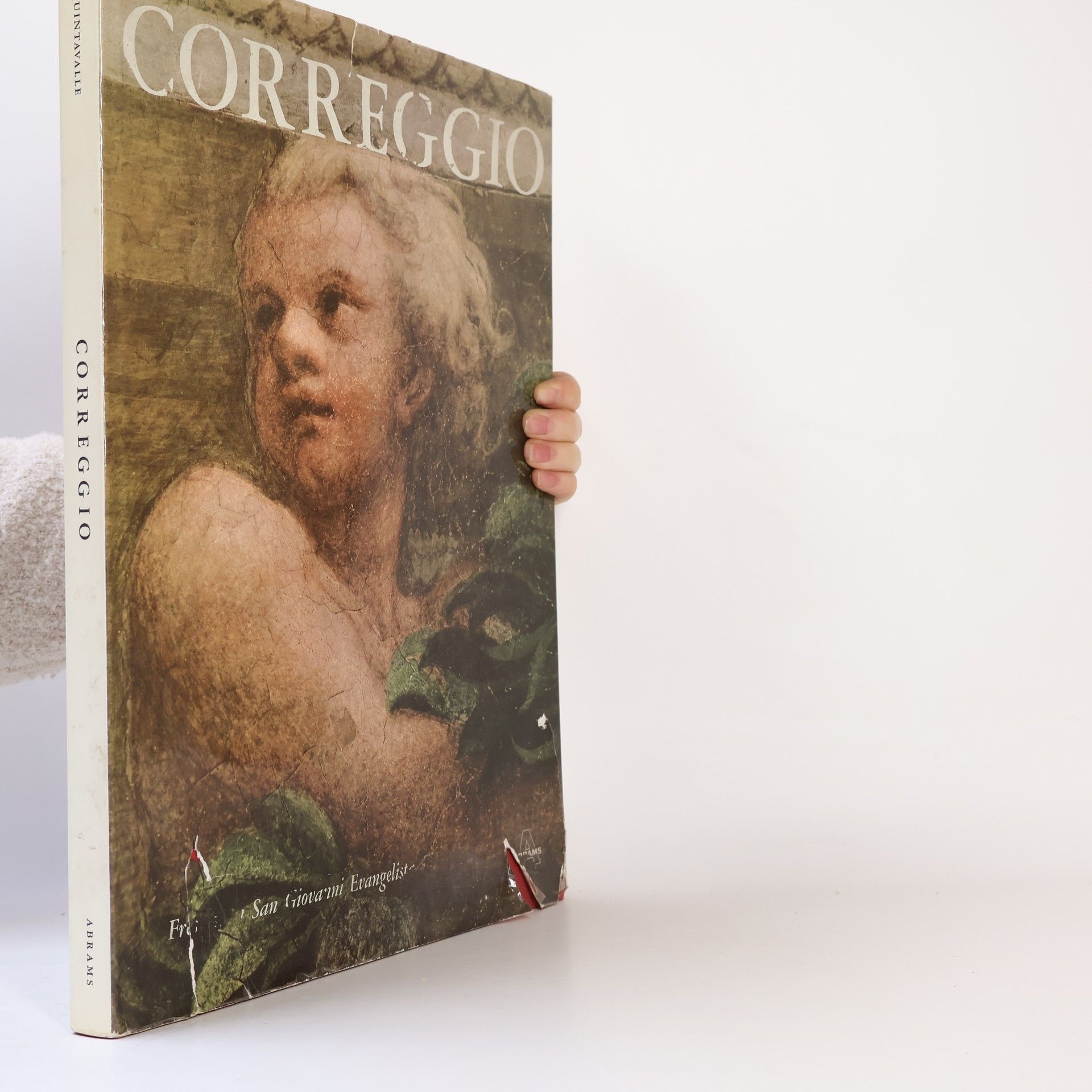 Kolektív autorov Correggio