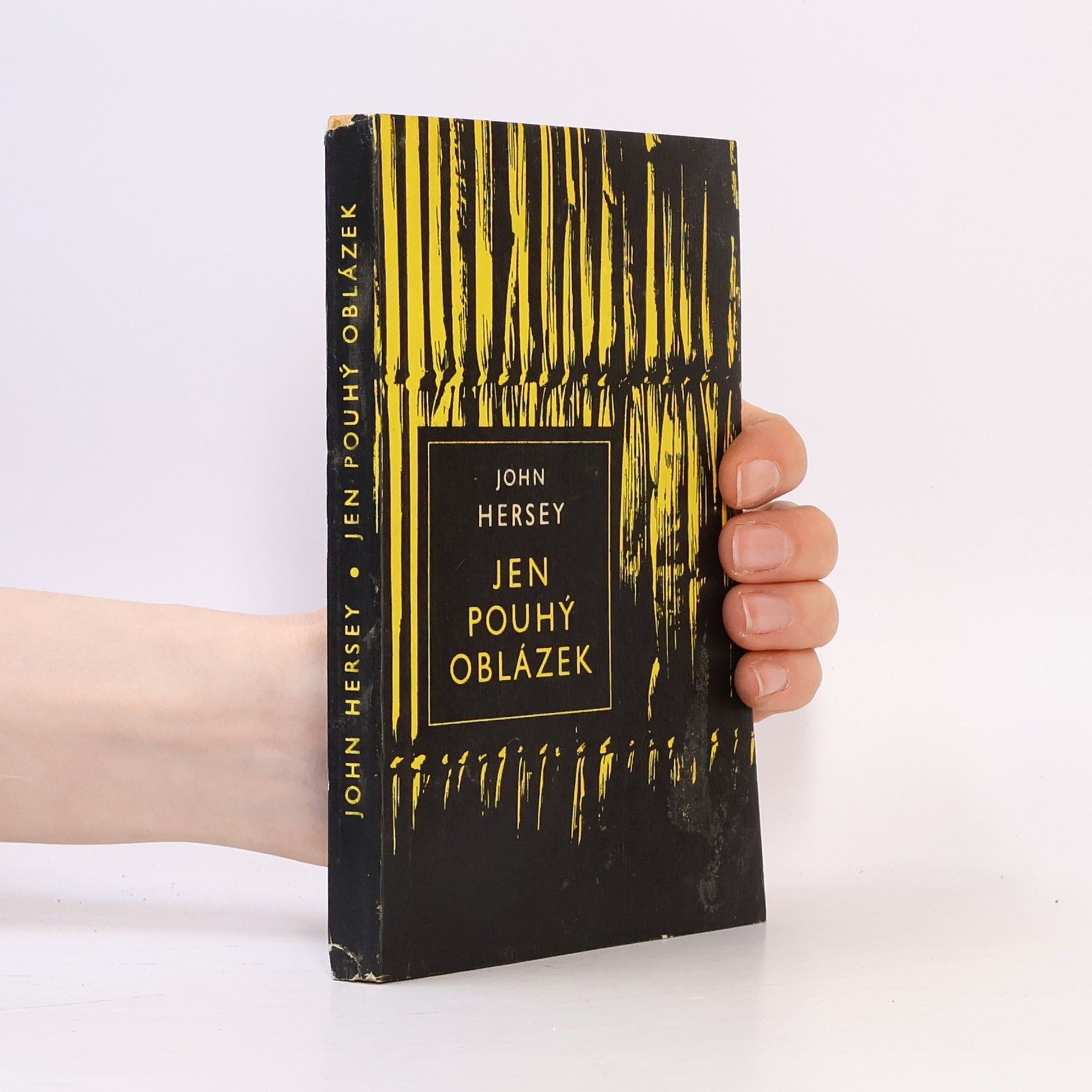 Jaroslav Schejbal Jen pouhý oblázek