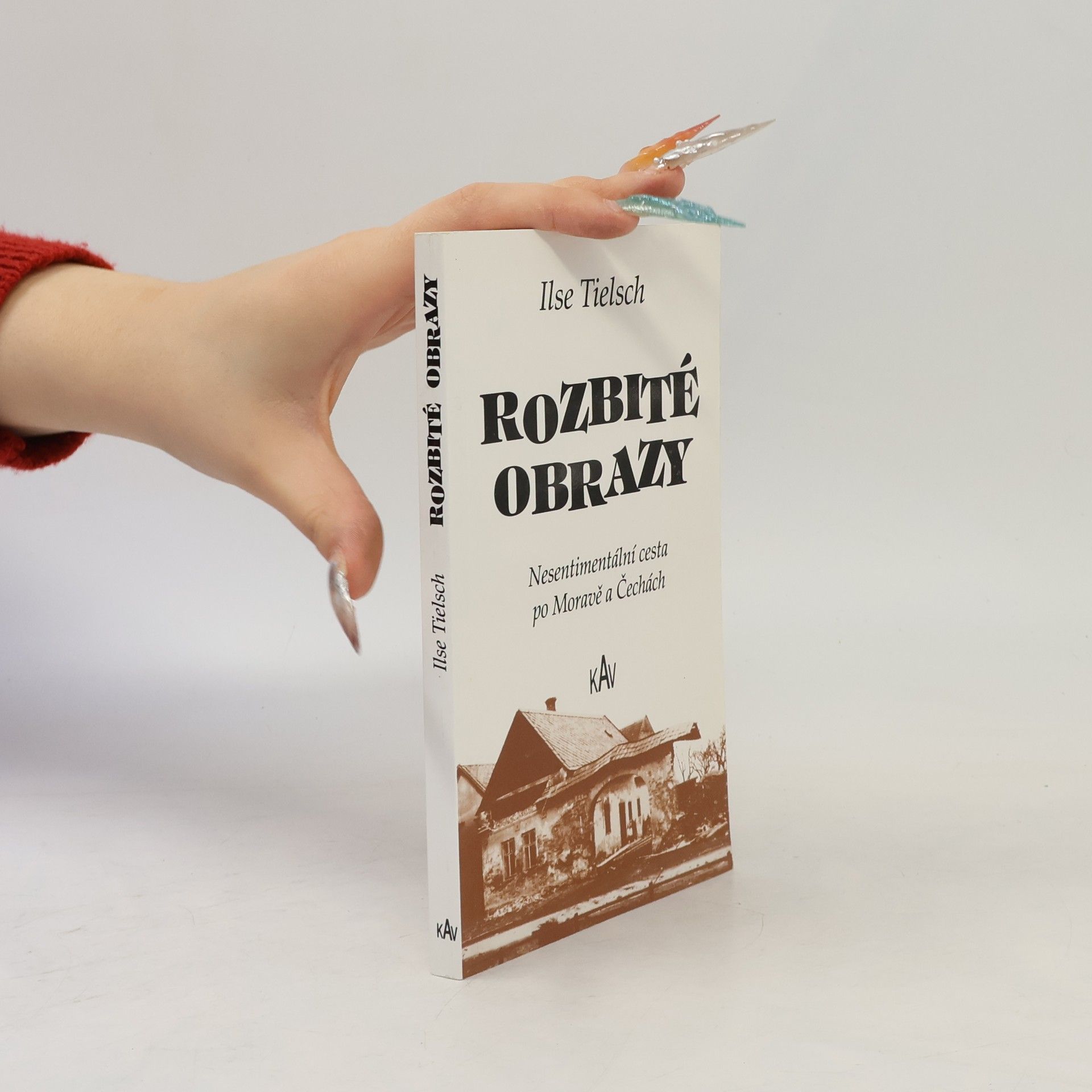 Ilse Tielsch Rozbité obrazy : nesentimentální cesta po Moravě a Čechách