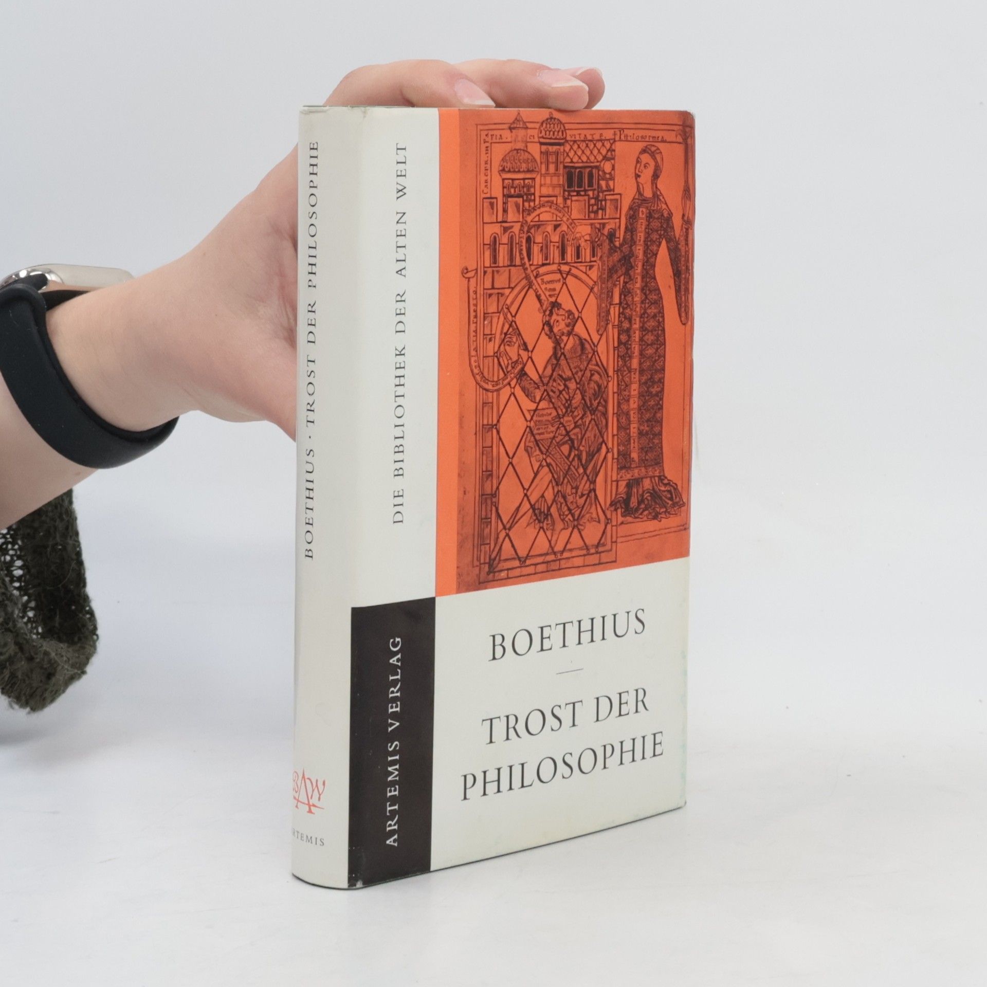 Trost der Philosophie