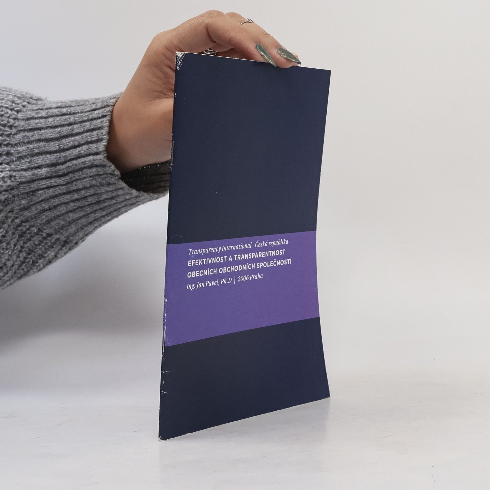 Efektivnost a transparentnost obecních obchodních společností