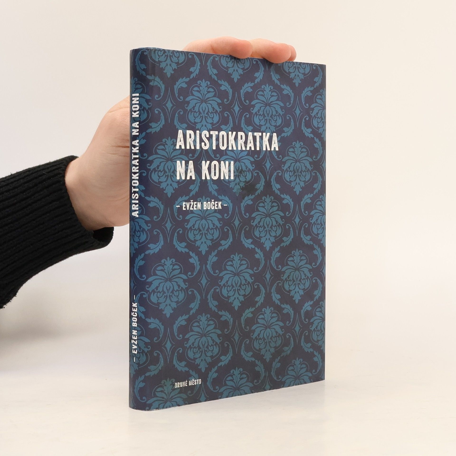 Evžen Boček Aristokratka na koni