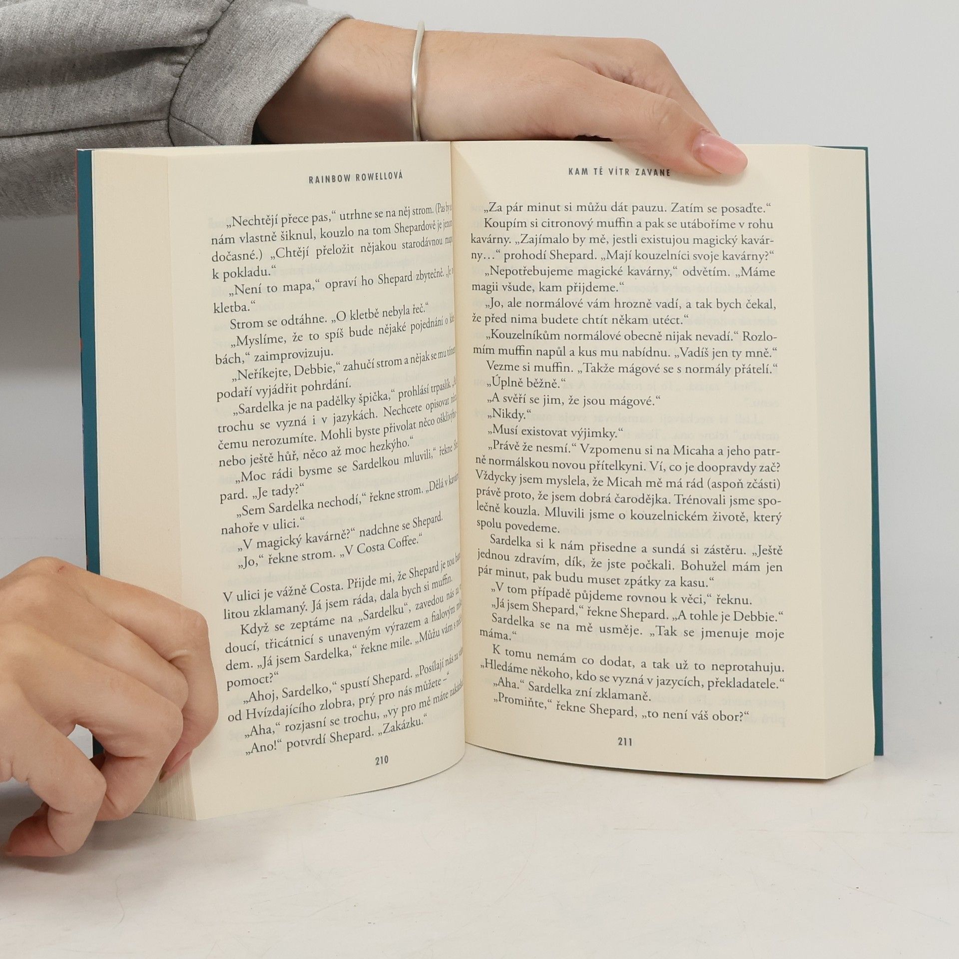 Rainbow Rowell Kam tě vítr zavane