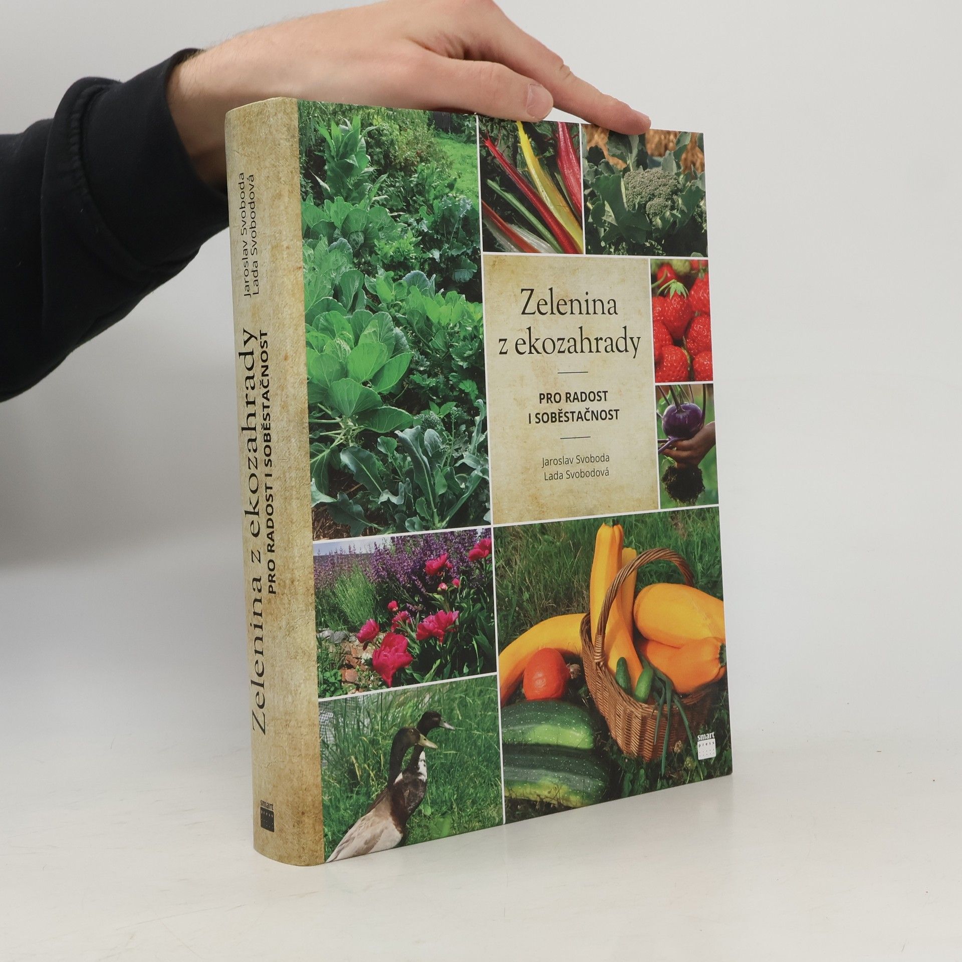 Zelenina z ekozahrady pro radost i soběstačnost