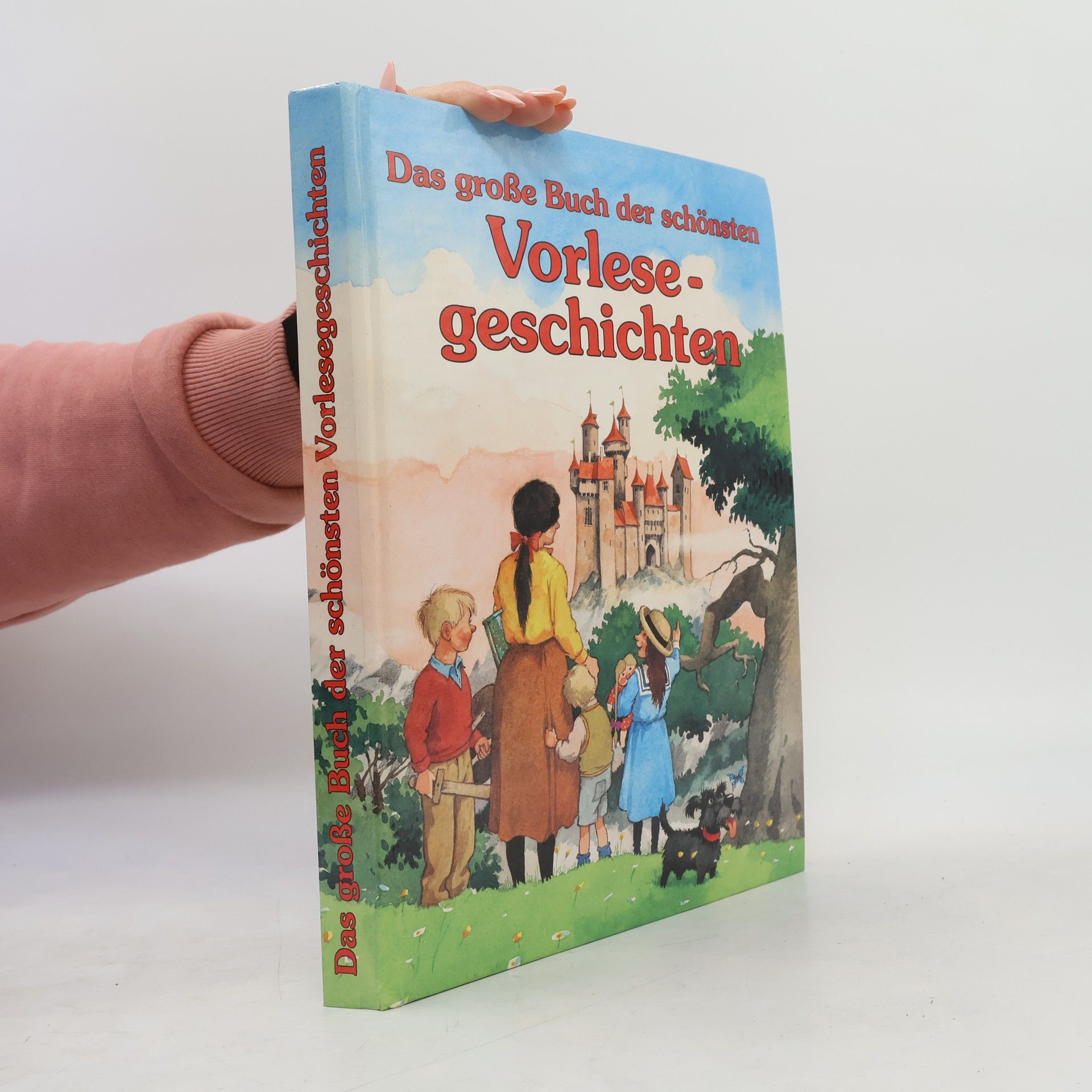 Das grosse Buch der schönsten Vorlese-geschichten
