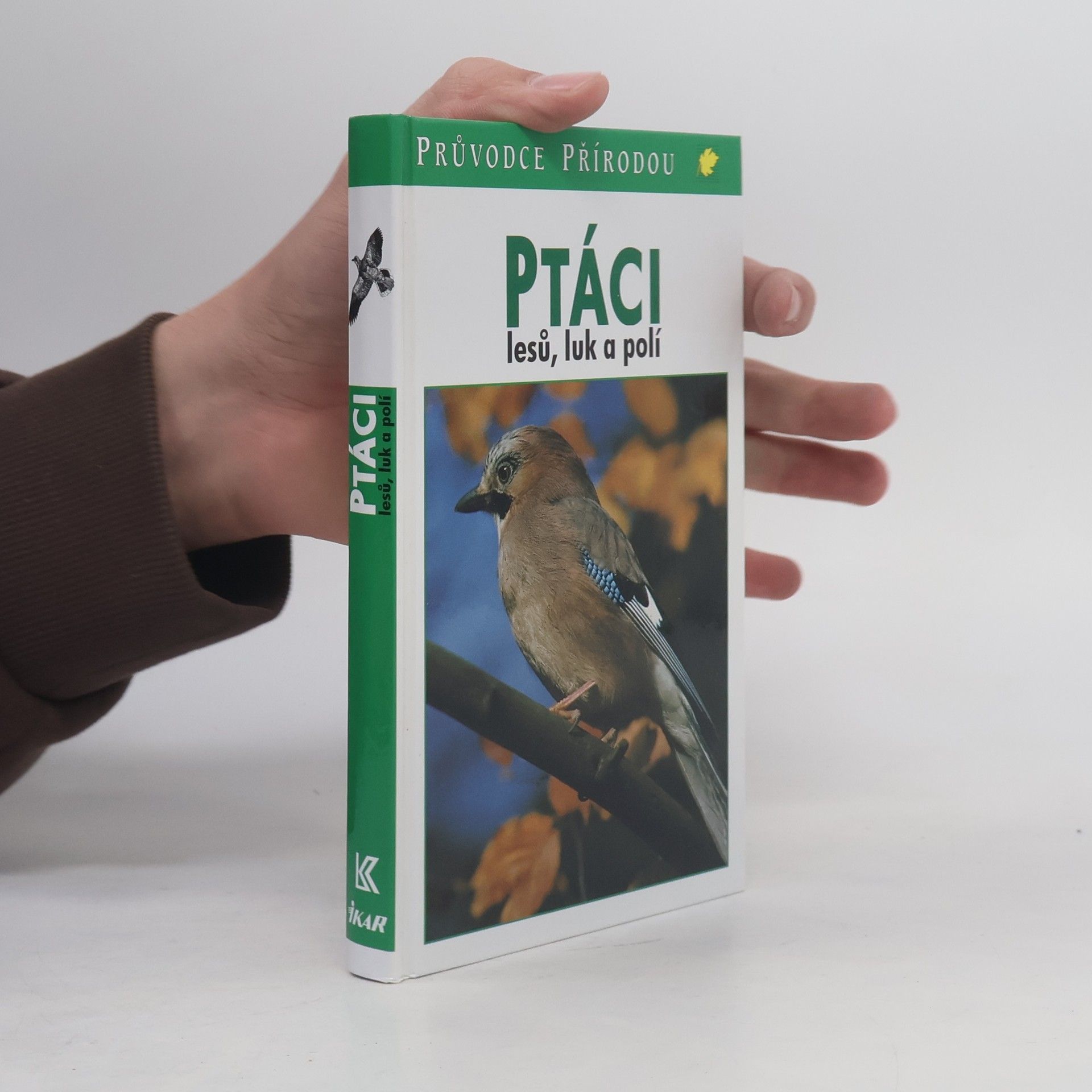 Friedhelm Sauer Ptáci lesů, luk a polí