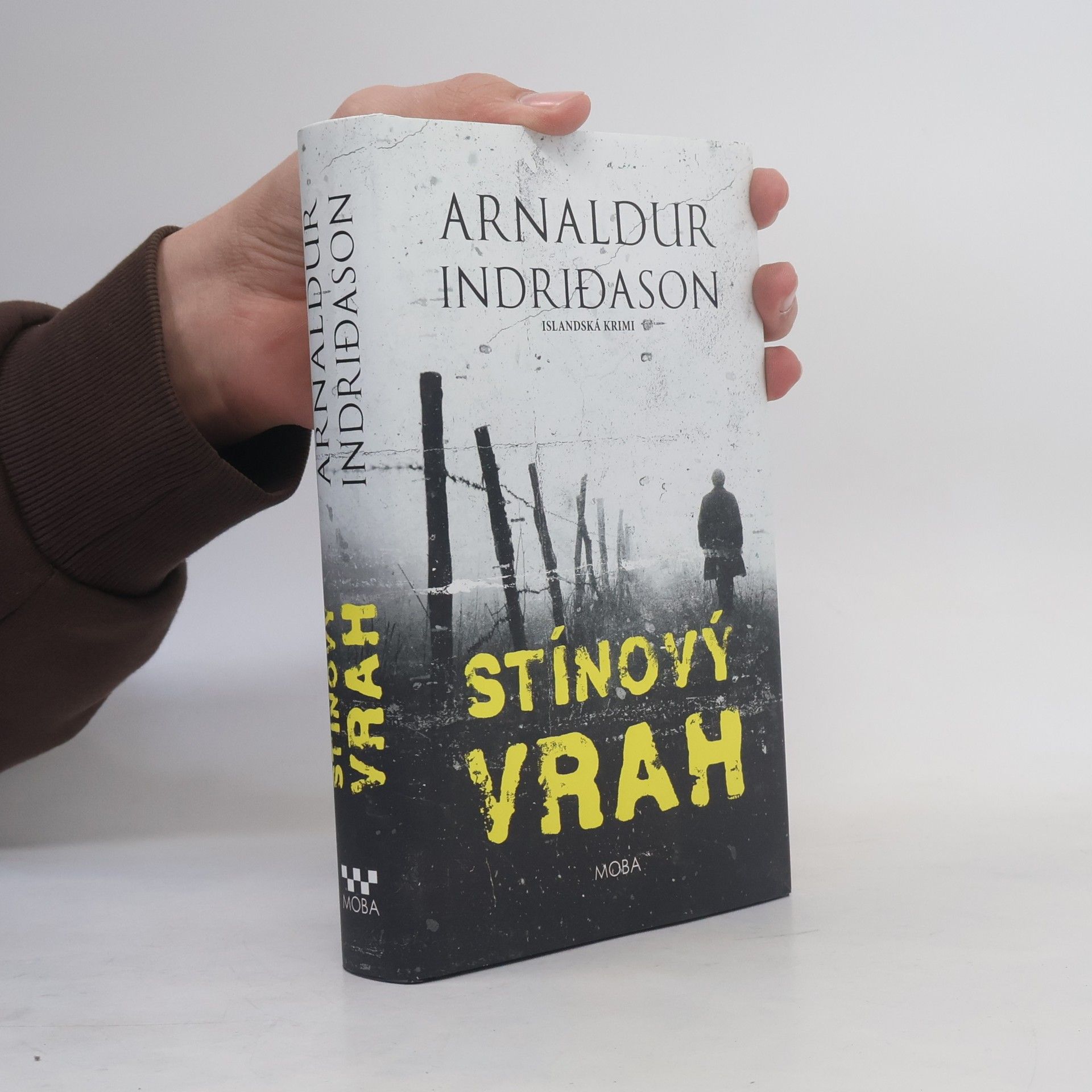 Arnaldur Indriðason Stínový vrah