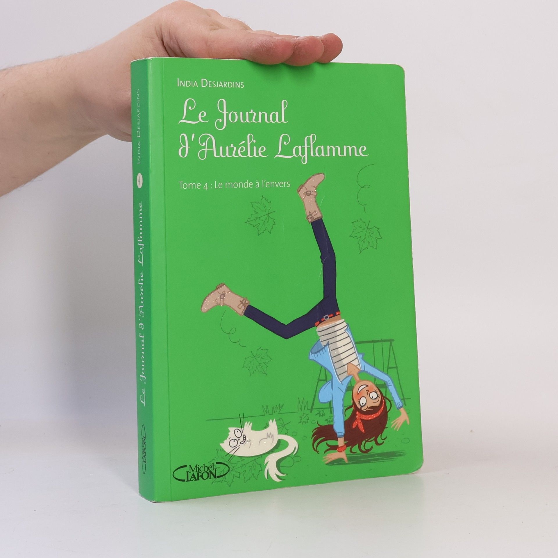 India Desjardins Le monde à l'envers