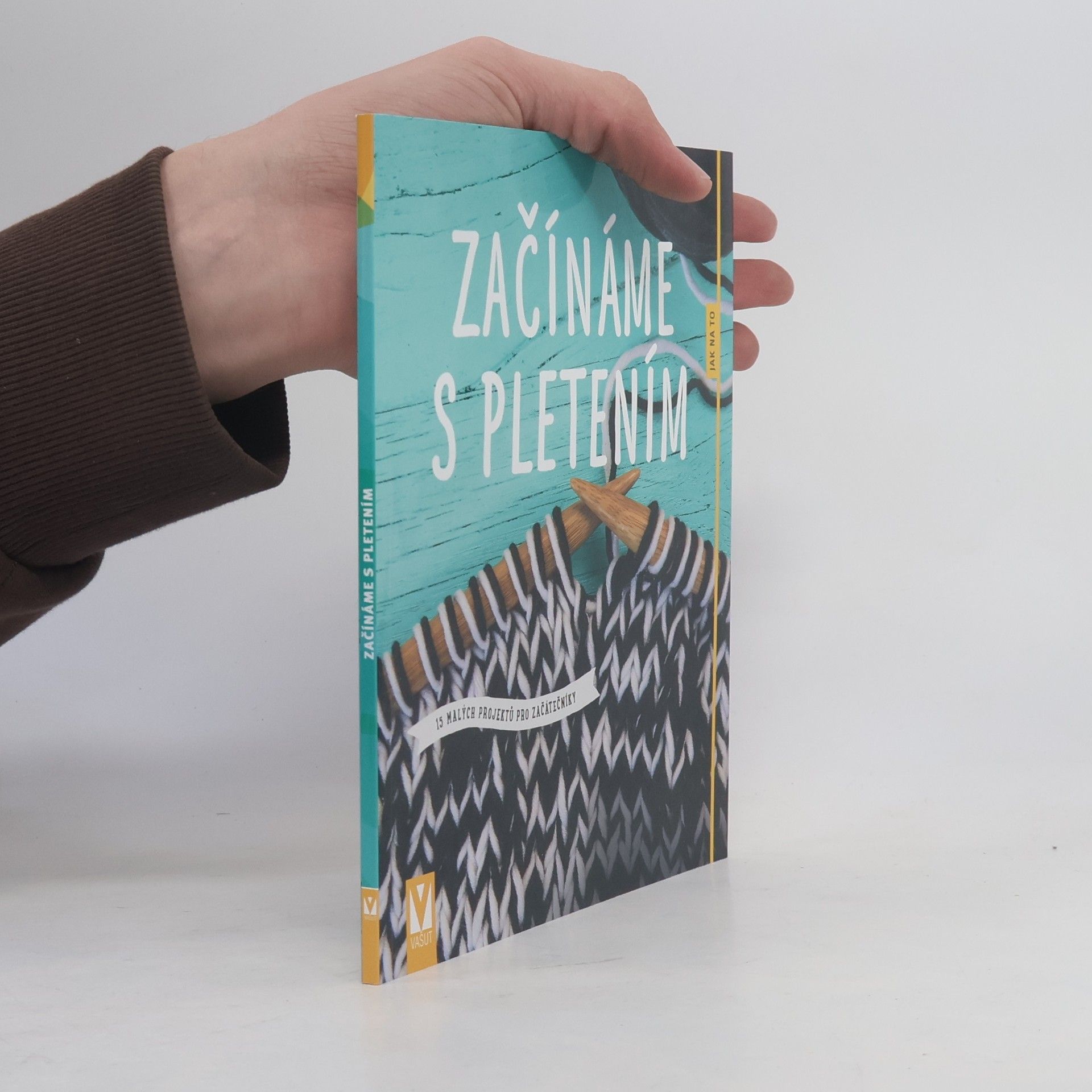 Kolektiv autorů Začínáme s pletením