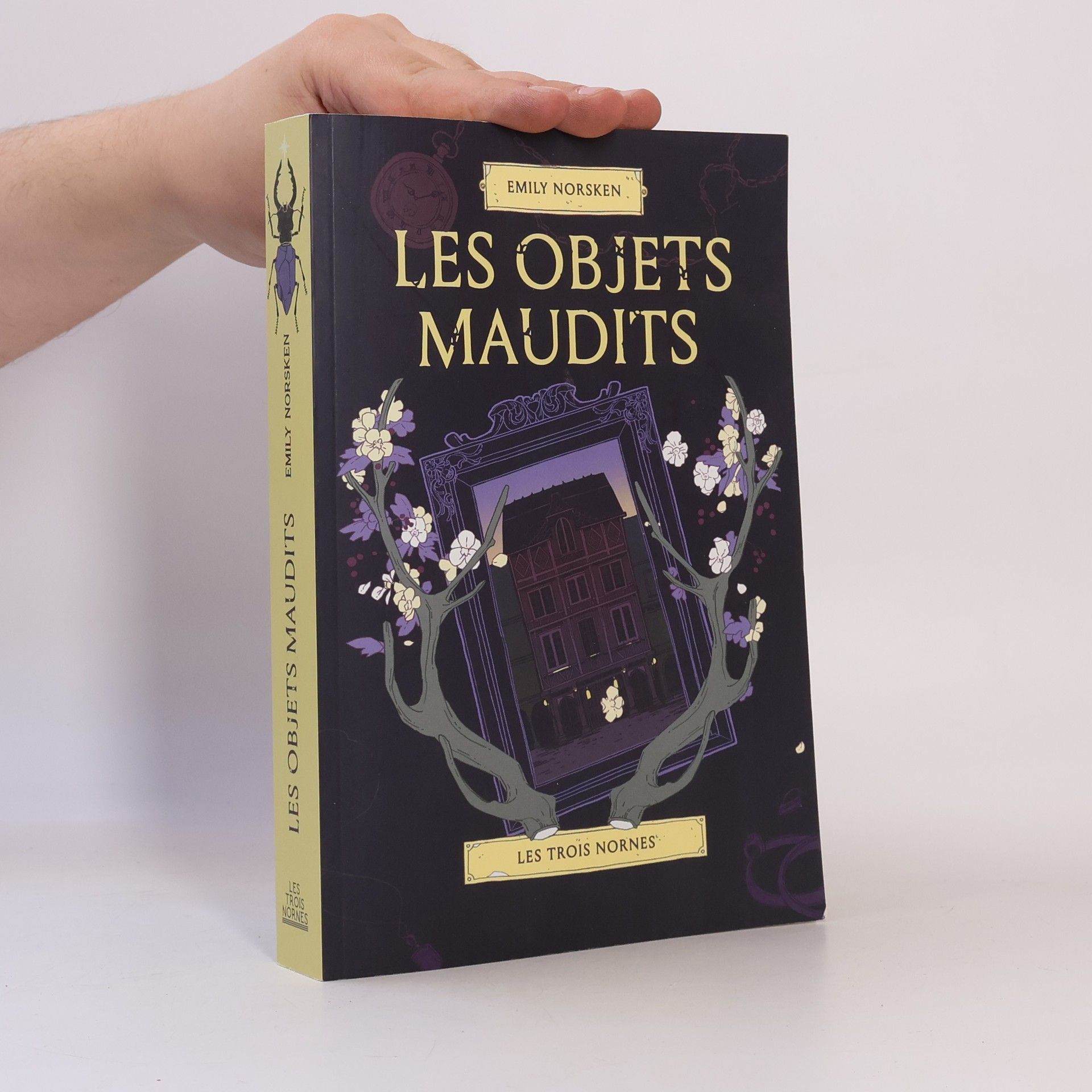 Emily Norsken Les objets maudits