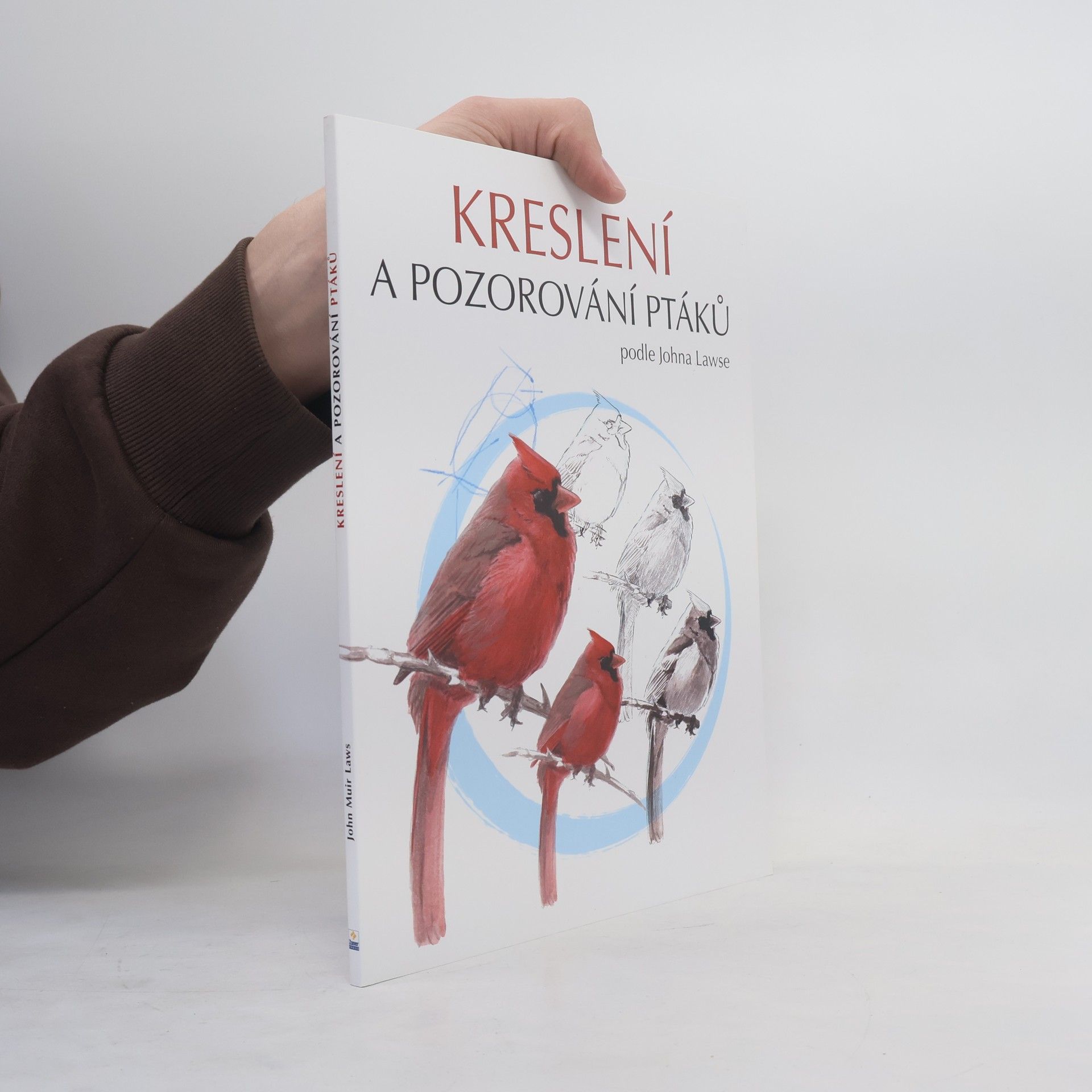 David Sibley Kreslení a pozorování ptáků