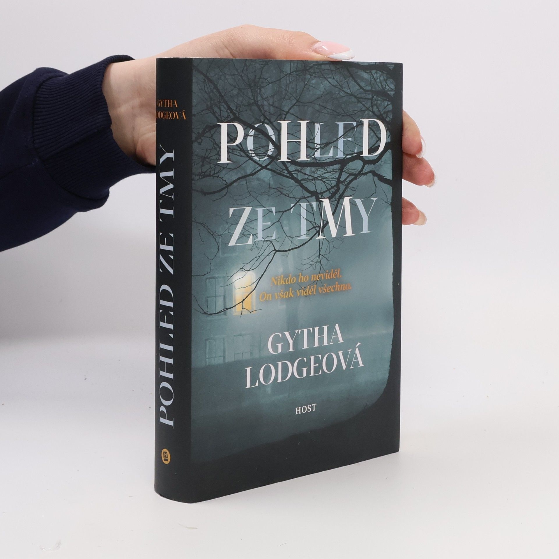 Gytha Lodge Pohled ze tmy