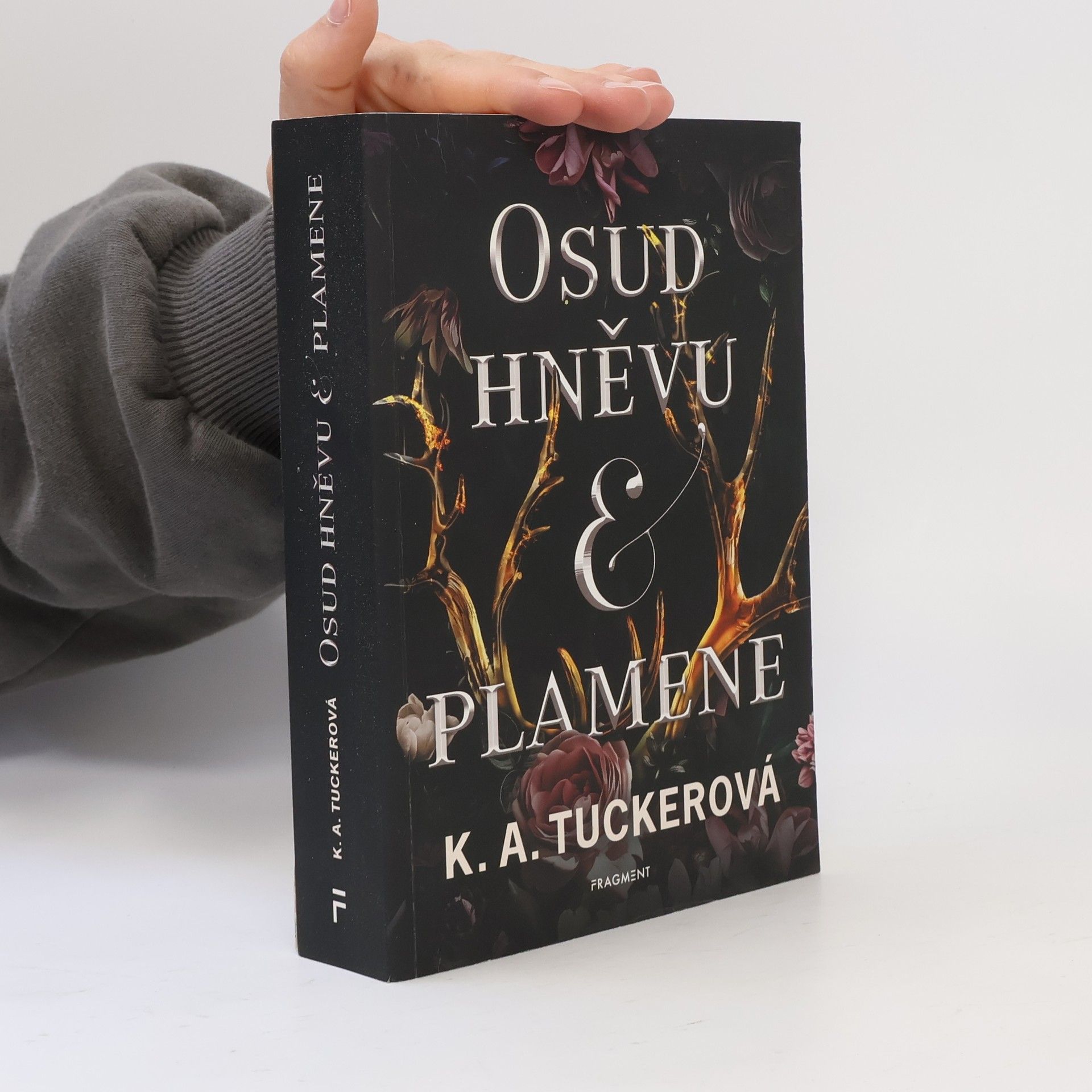 K. A. Tucker Osud hněvu & plamene