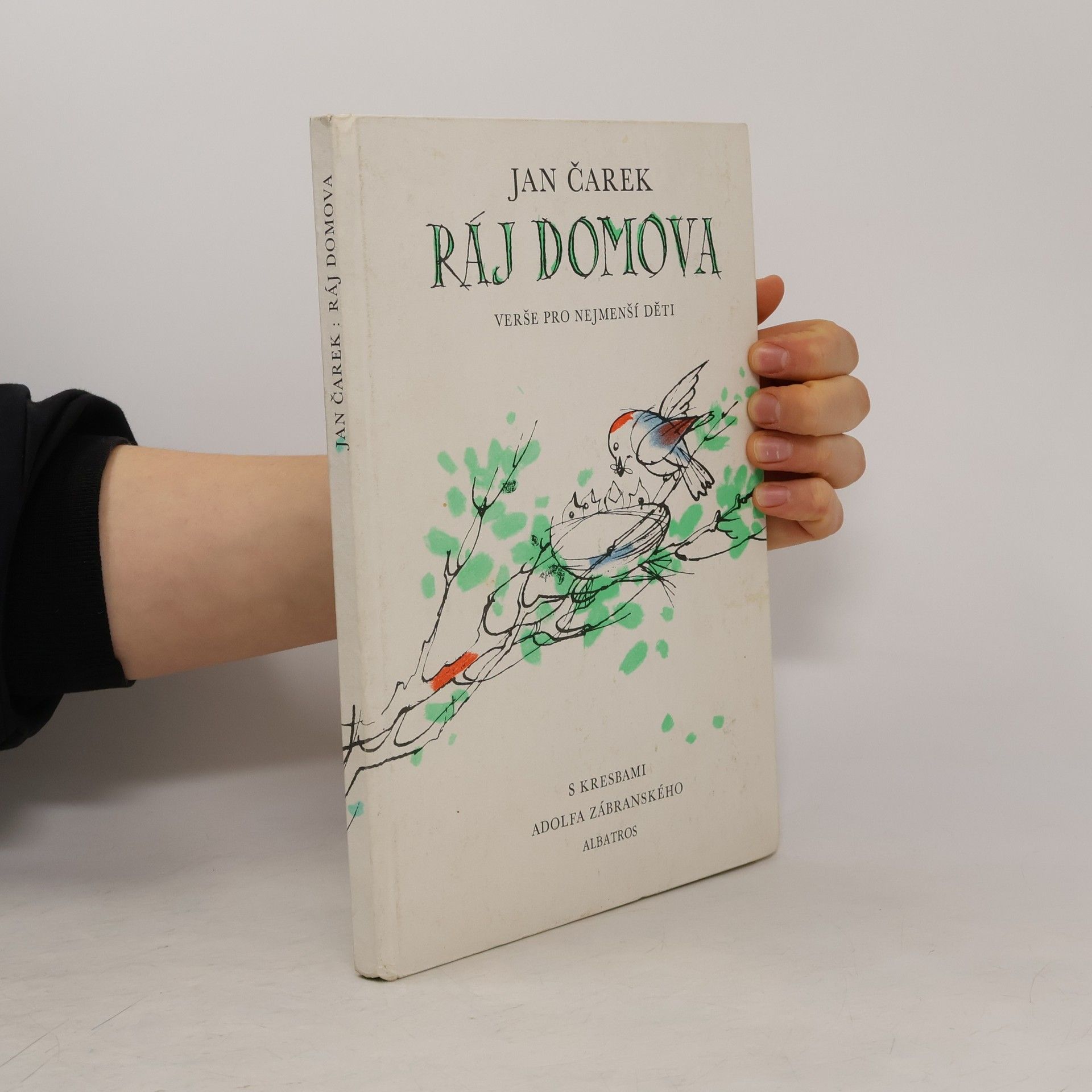 Jan Čarek Ráj domova