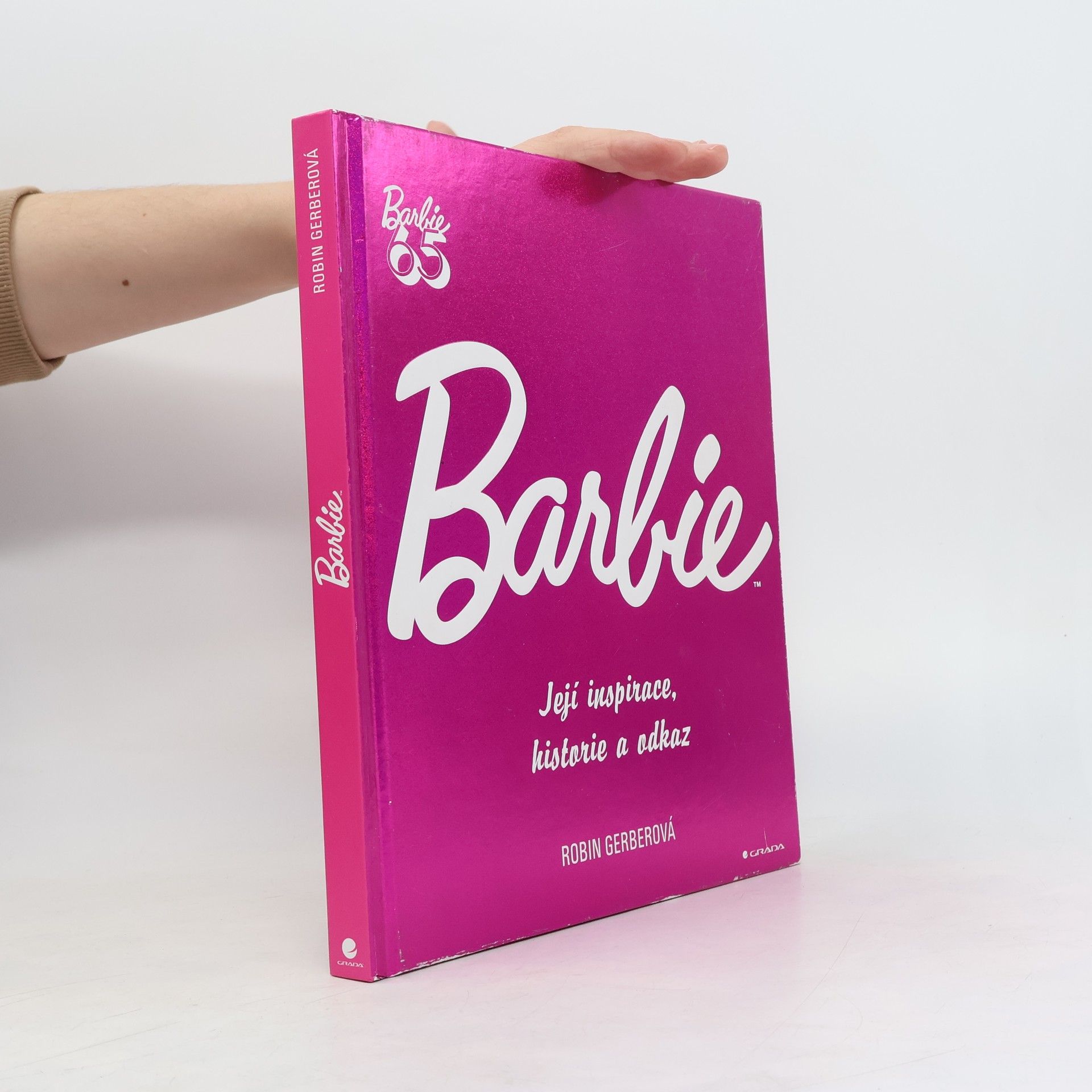 Robin Gerber Barbie: Její inspirace, historie, odkaz