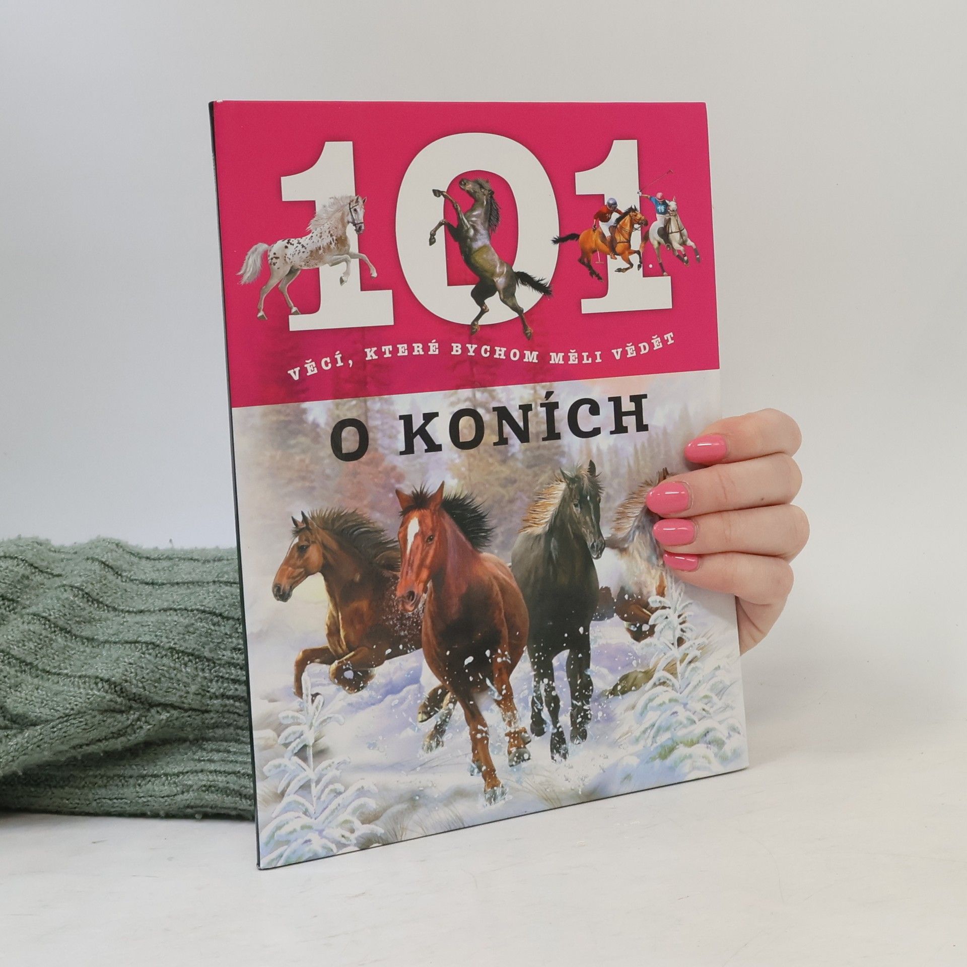 101 věcí, které bychom měli vědět o koních