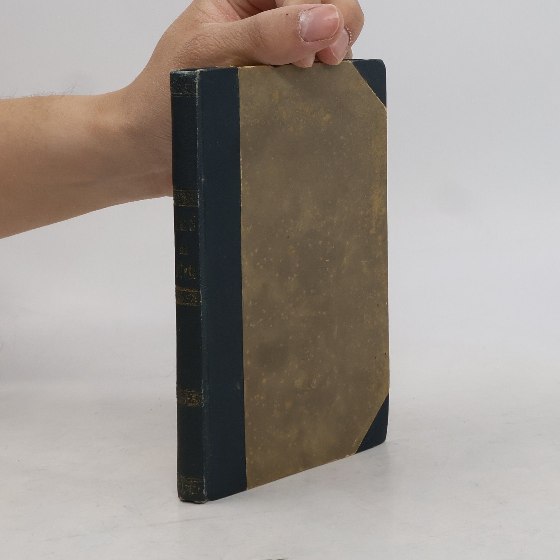 František Karel Hejda Vrabci na střeše