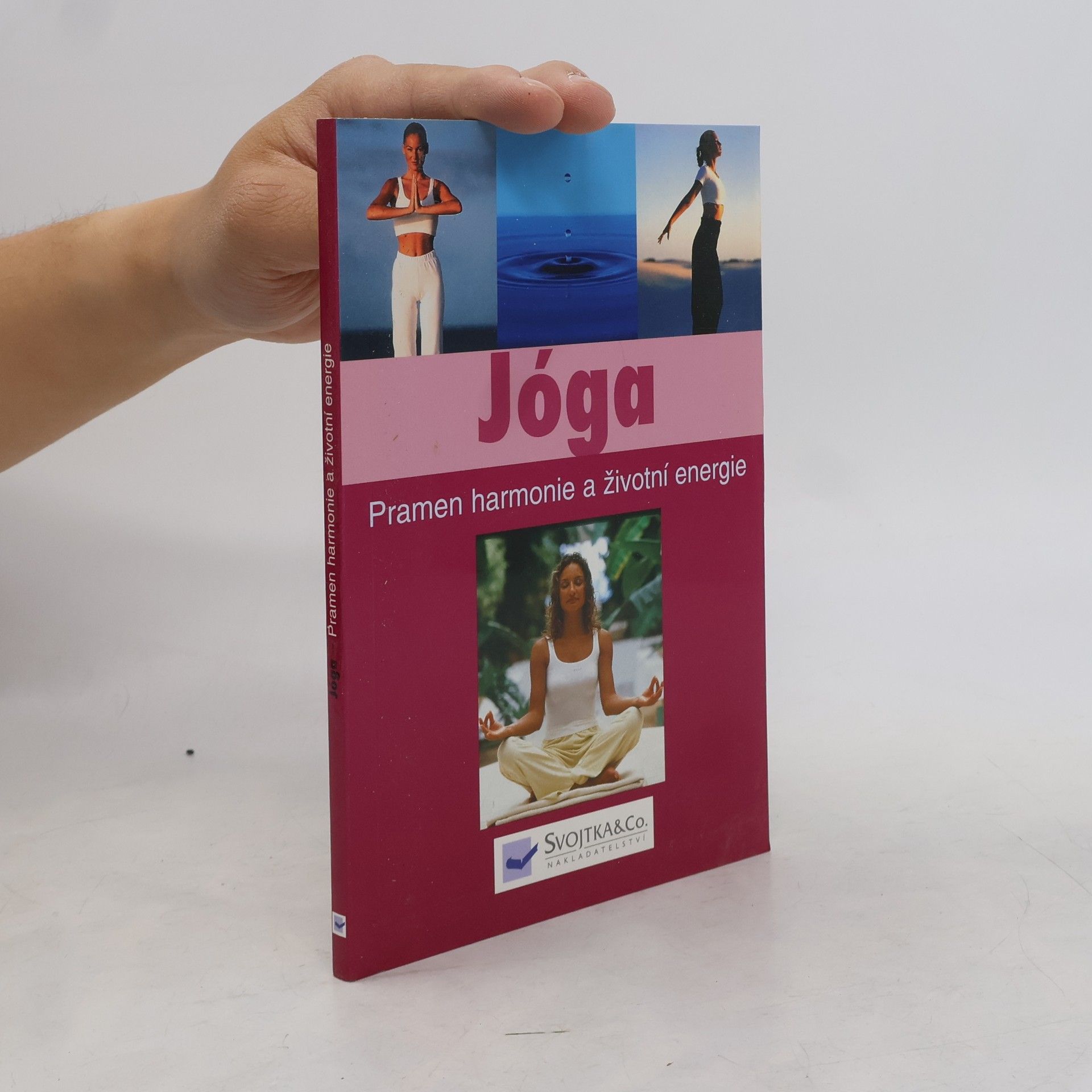 Kolektív autorov Jóga. Pramen harmonie a životní energie