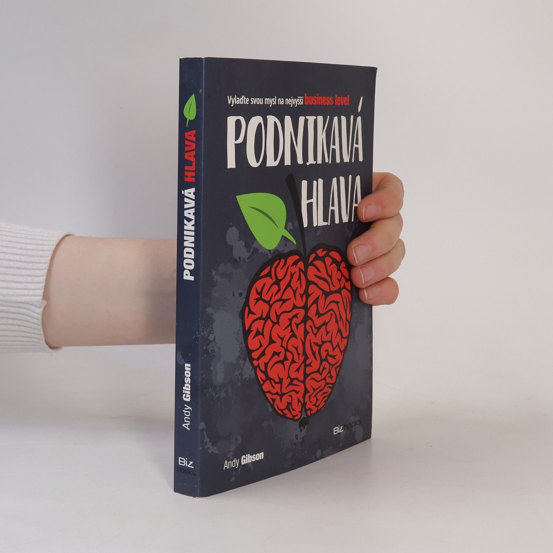 Podnikavá hlava. Vylaďte svou mysl na nejvyšší business level