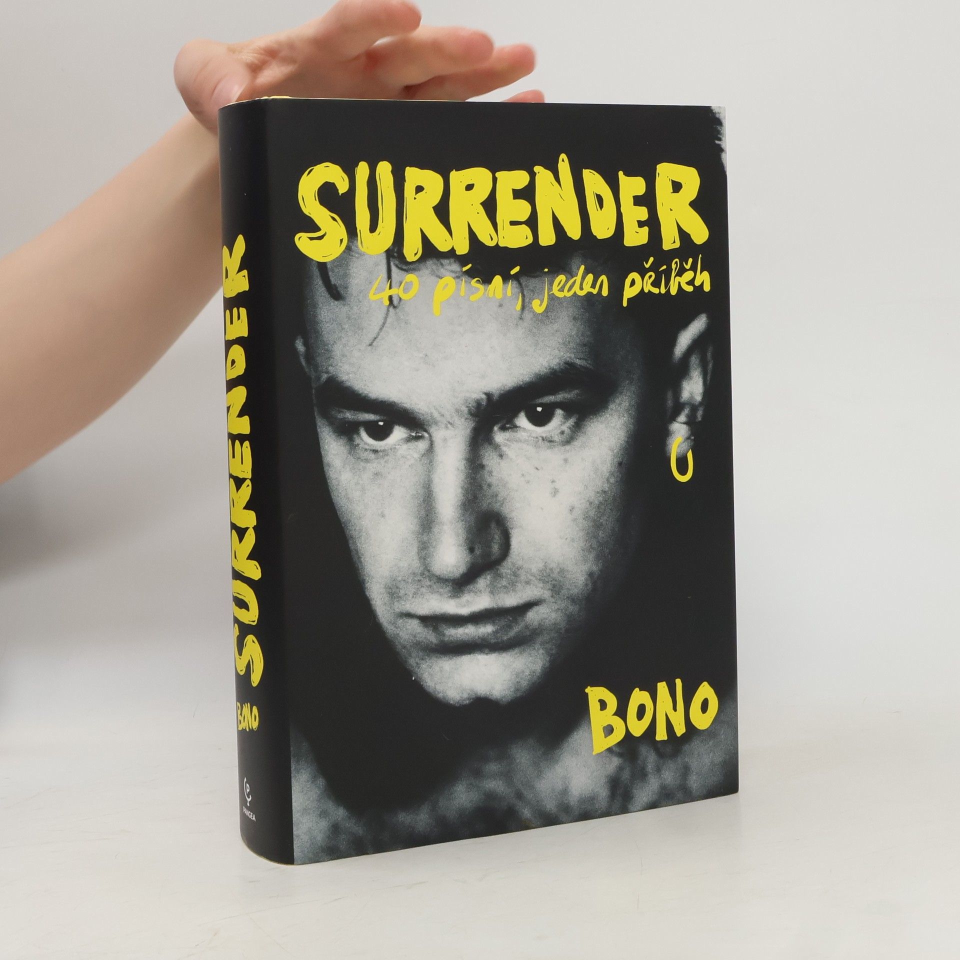 Bono Surrender : 40 písní, jeden příběh