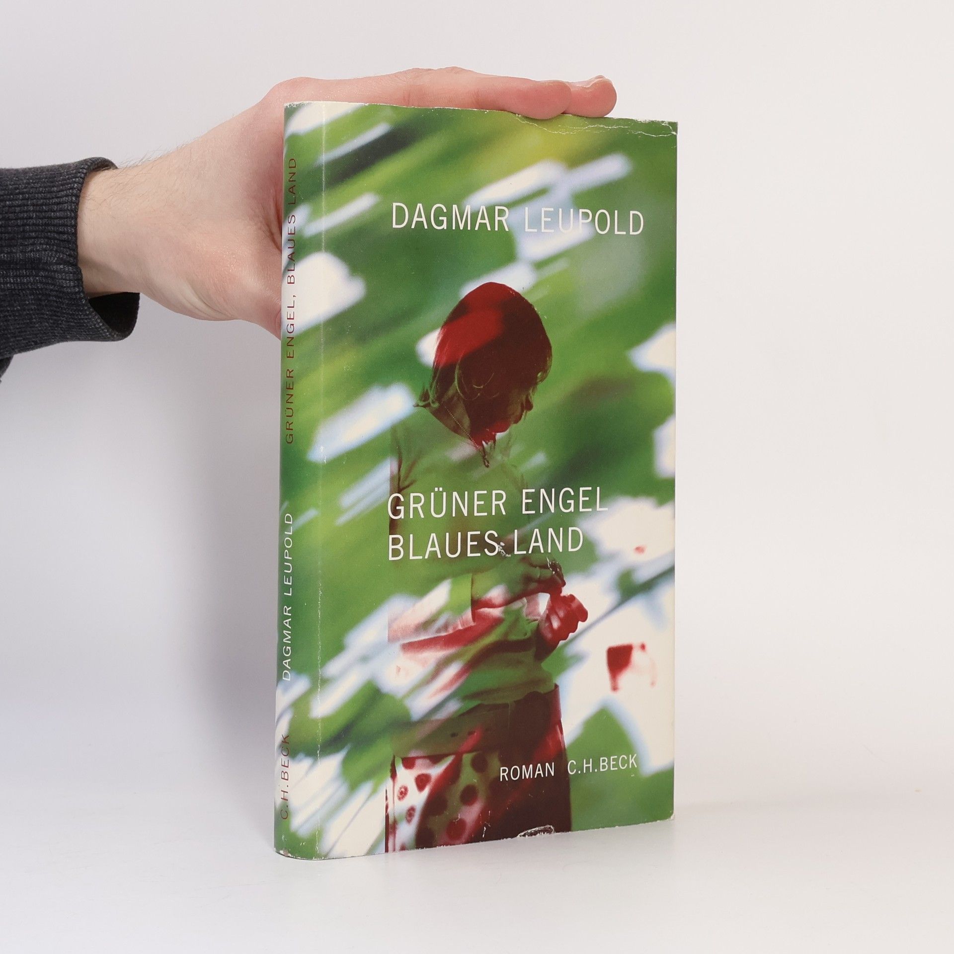 Dagmar Leupold Grüner Engel, blaues Land