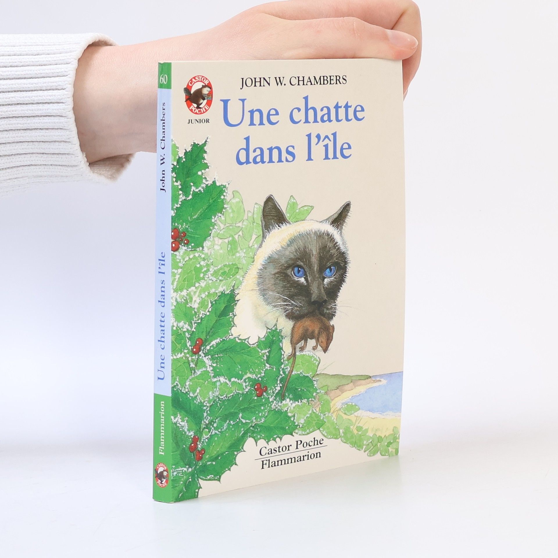 John Whiteclay Chambers Une chatte dans l'île