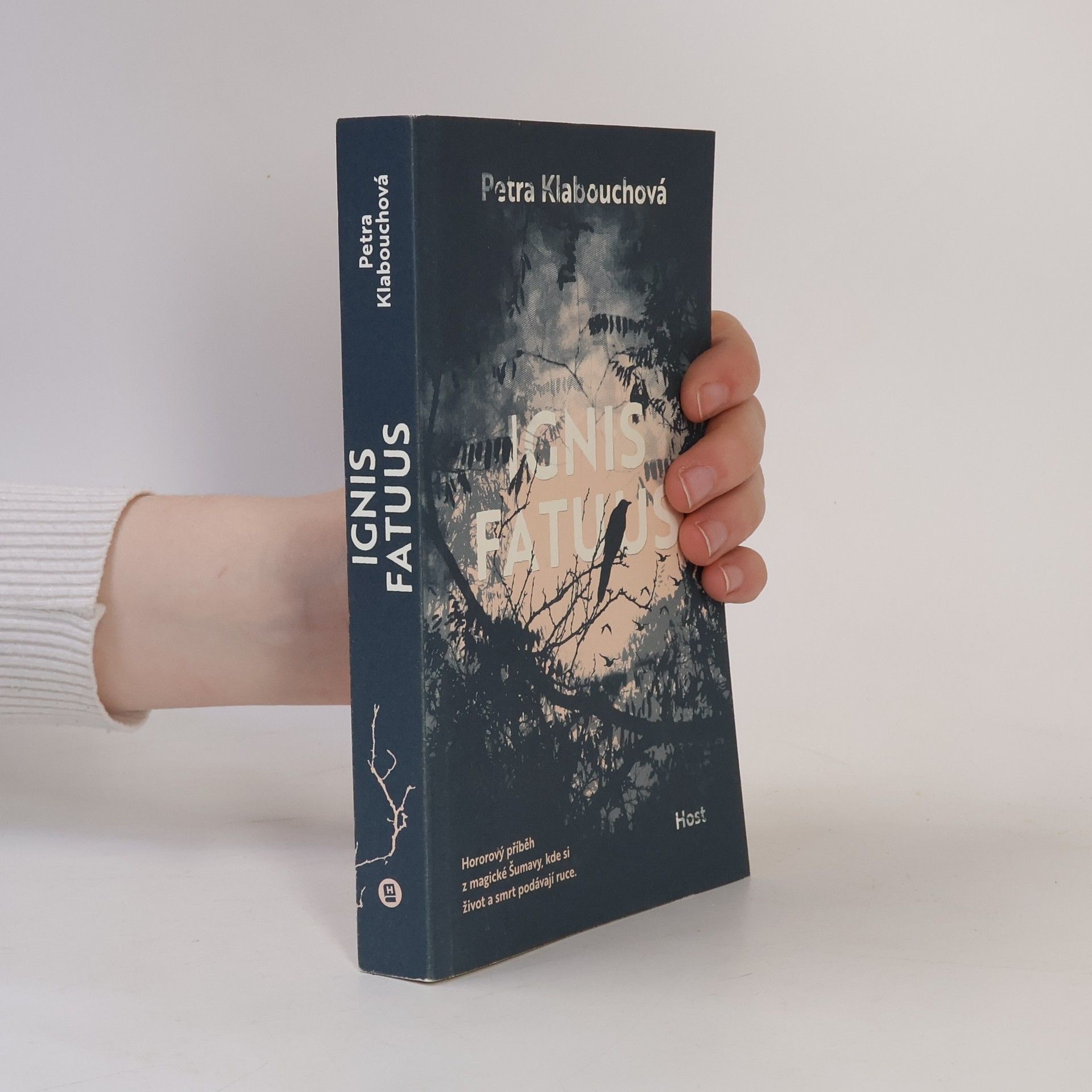 Petra Klabouchová Ignis fatuus