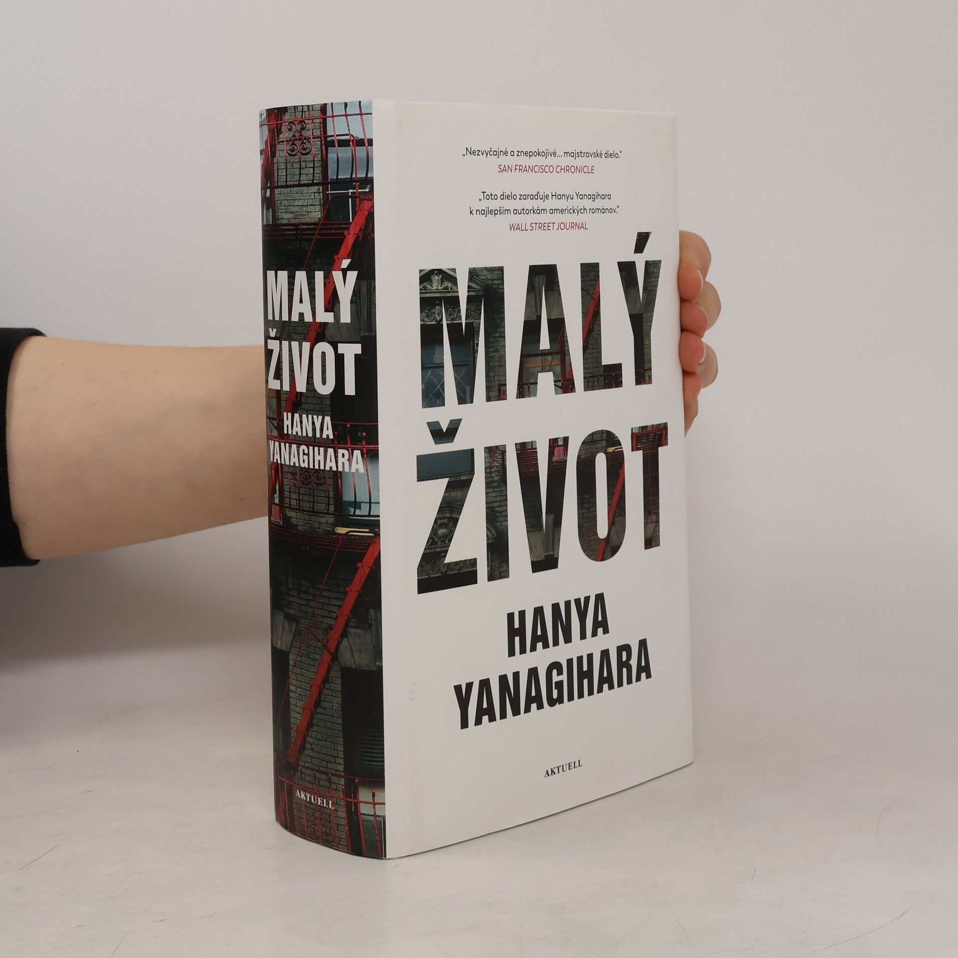 Hanya Yanagihara Malý život