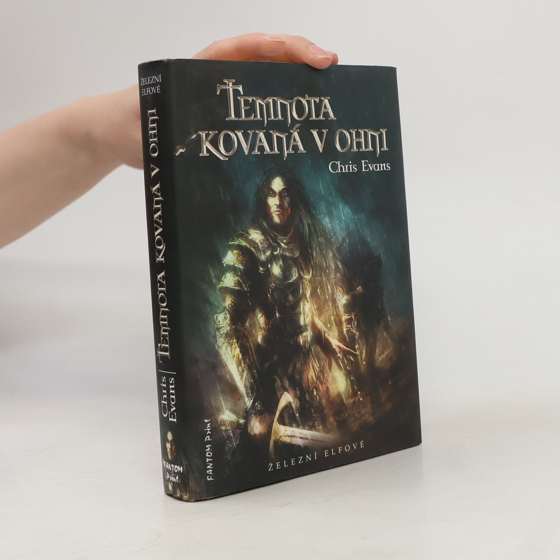 Temnota kovaná v ohni. Železní elfové 1