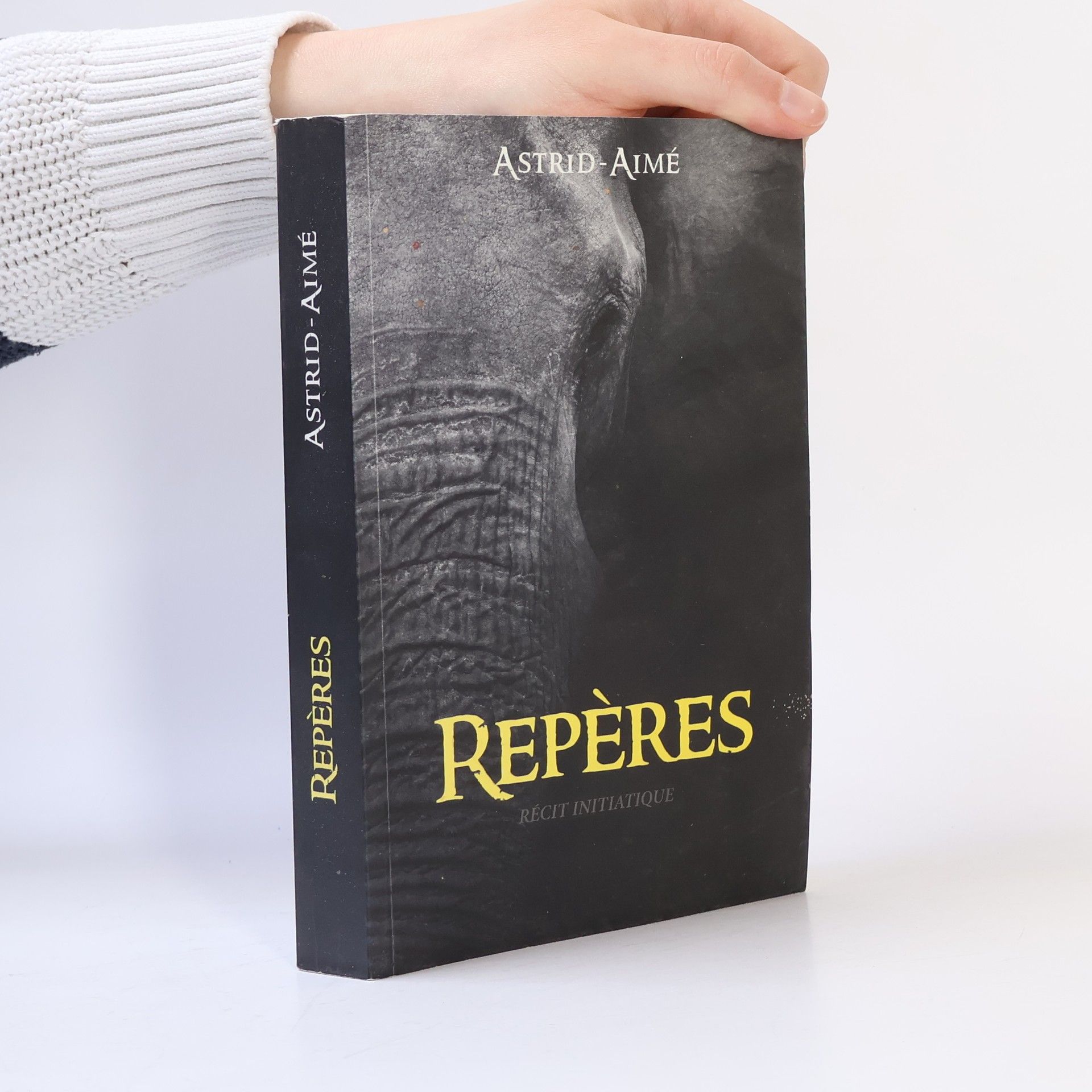 Astrid-Aimé Repères