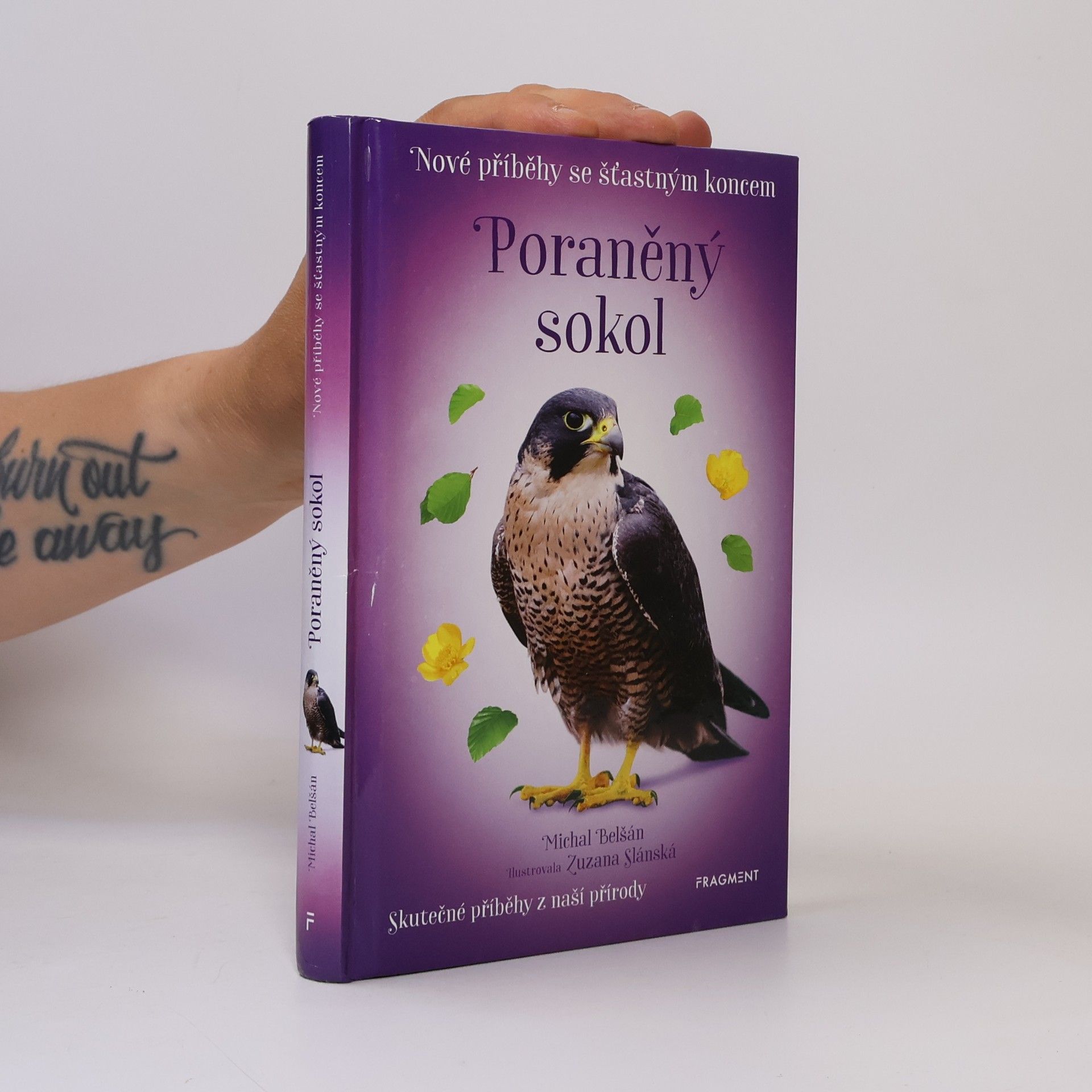 Michal Belšán Poraněný sokol