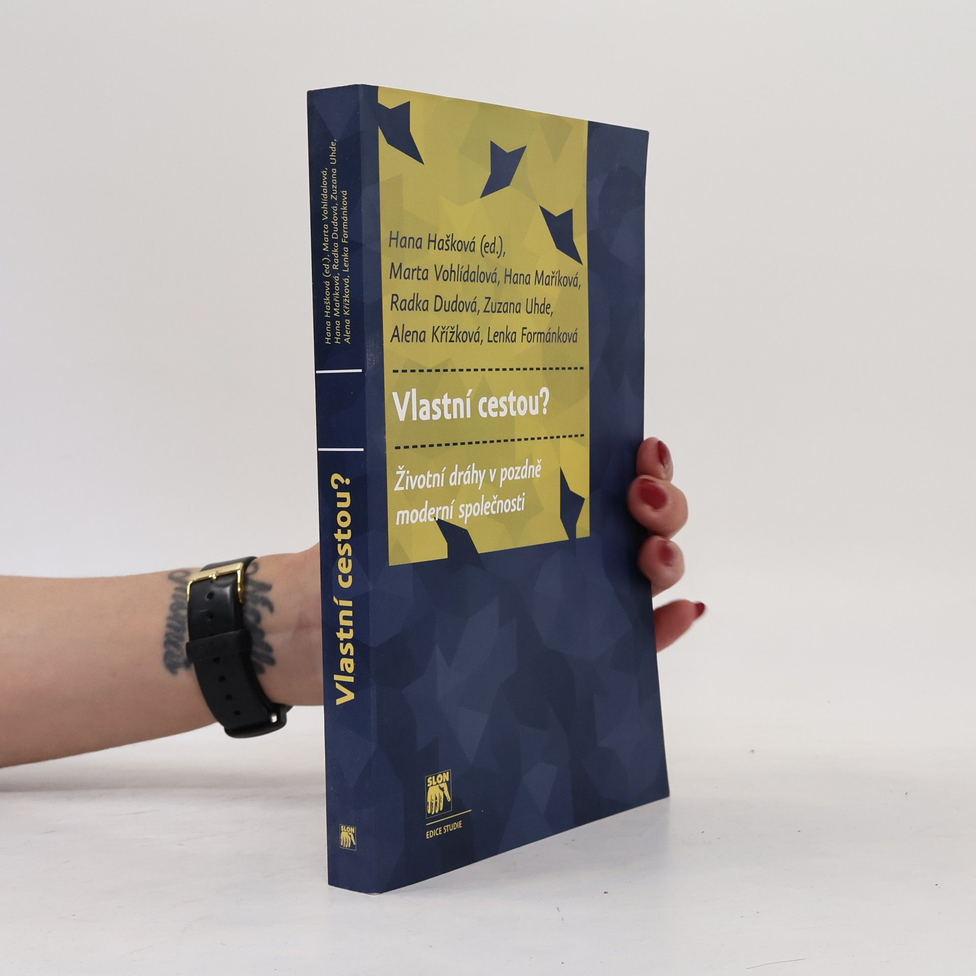 Vlastní cestou? : životní dráhy v pozdně moderní společnosti