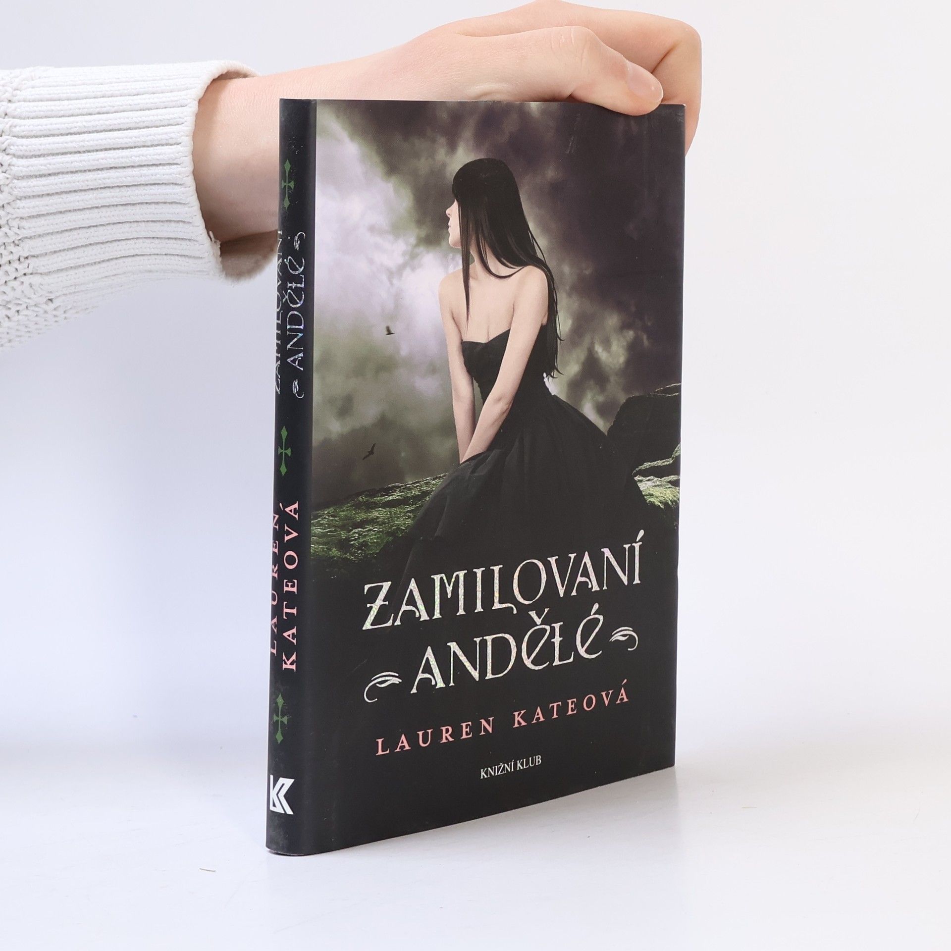 Lauren Kate Zamilovaní andělé