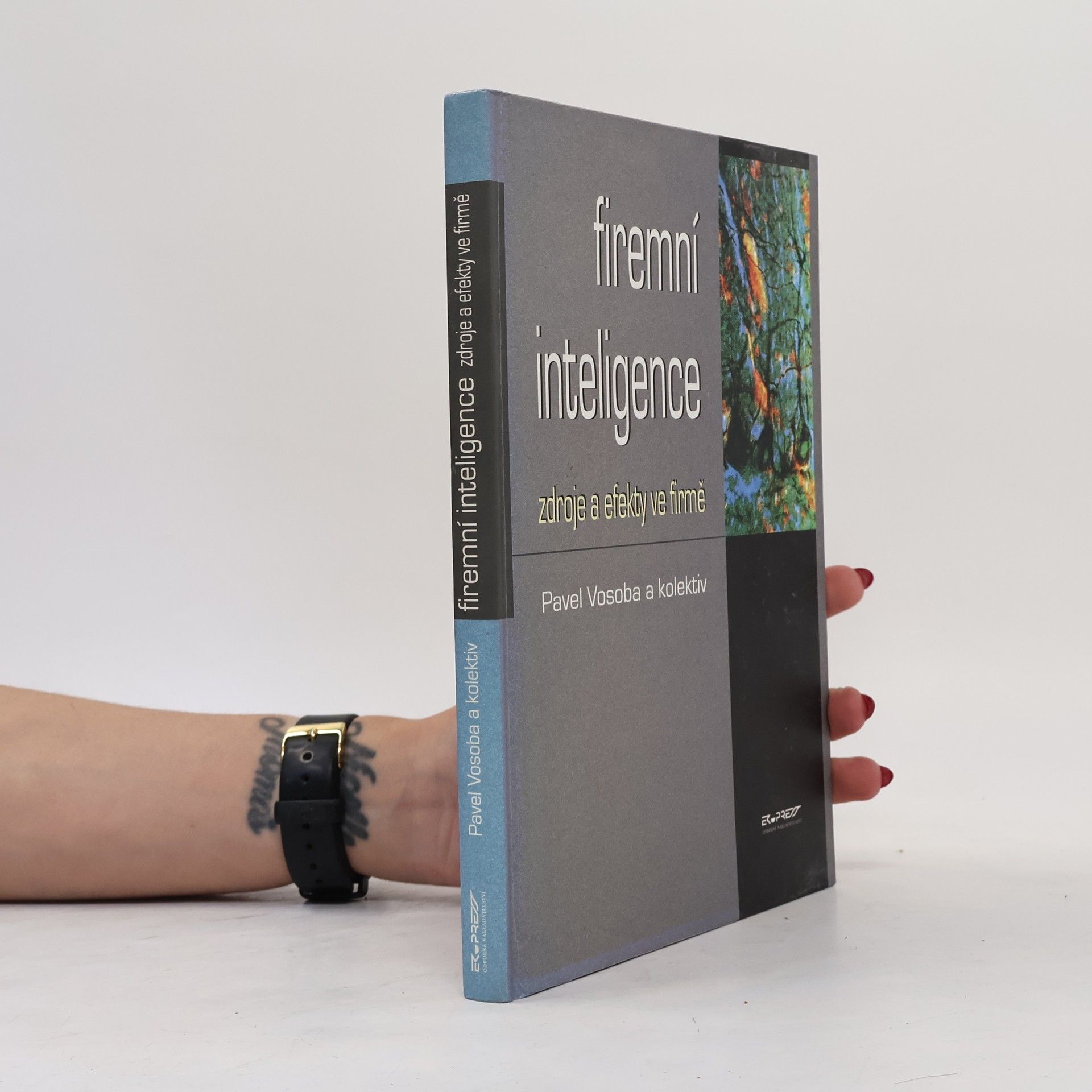 Pavel Vosoba Firemní inteligence