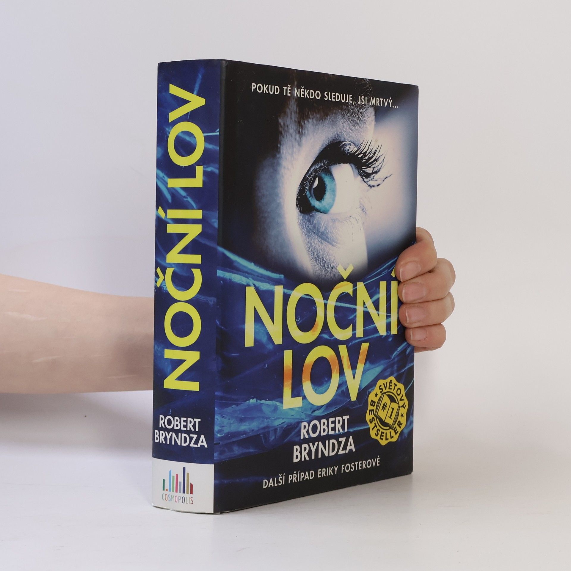 Robert Bryndza Noční lov