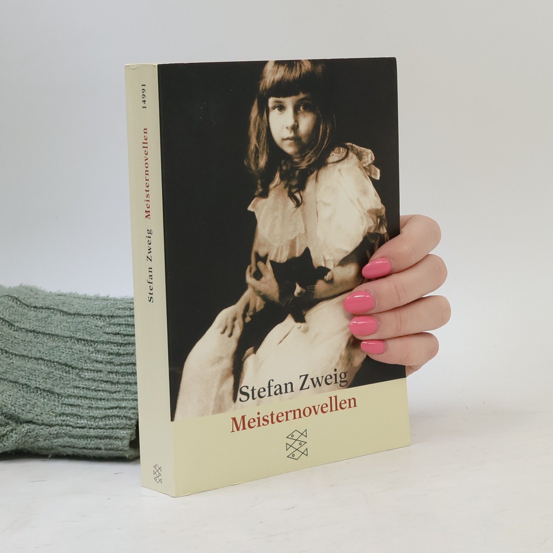 Stefan Zweig Meisternovellen