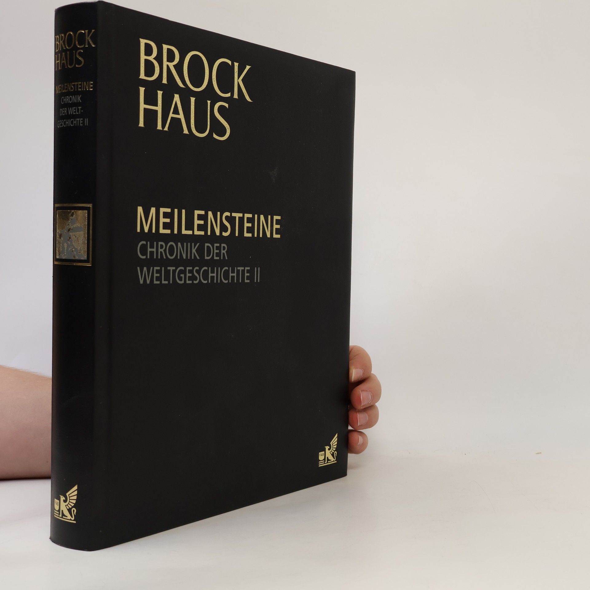 Kolektiv autorů Meilensteine. Chronik der Weltgeschichte II