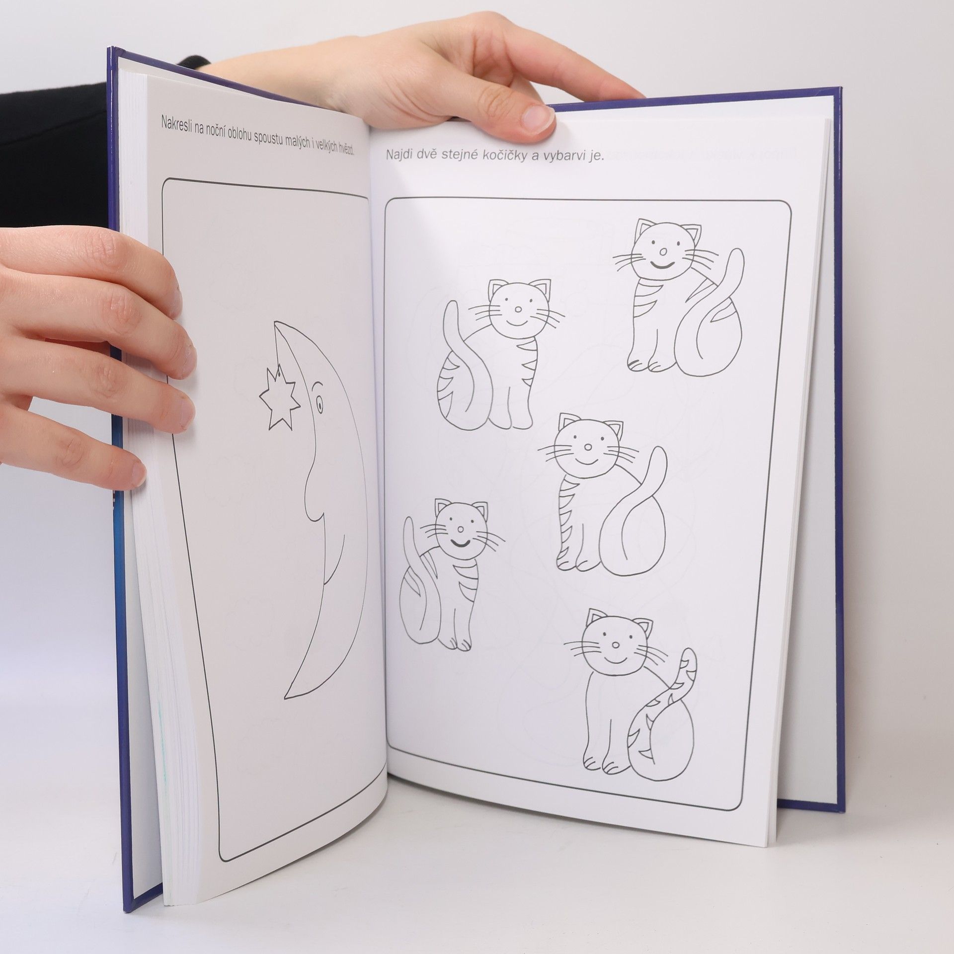 Collectif d'auteurs Velká kniha her a úkolů pro kluky a holky