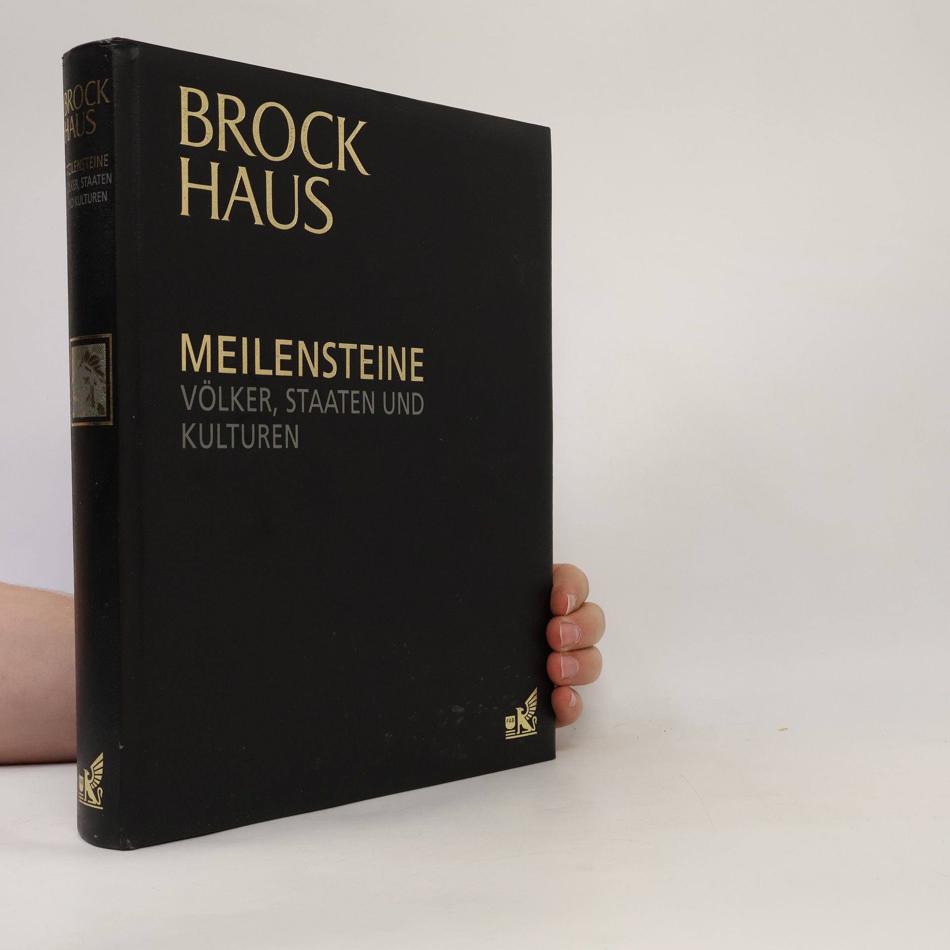 Kolektiv autorů Brockhaus. Meilensteine. Völker, Staaten und Kulturen