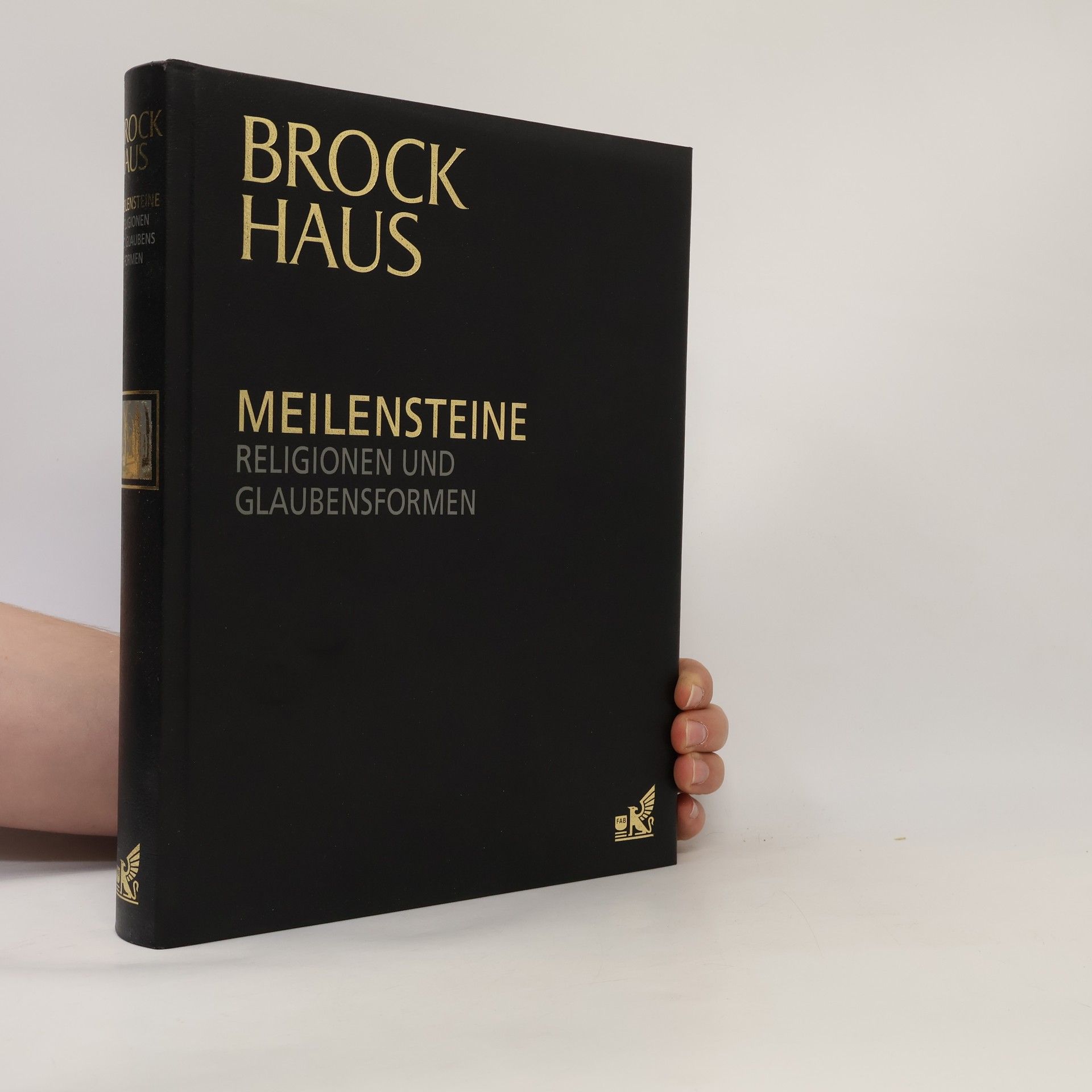 Kolektiv autorů Religionen und Glaubensformen