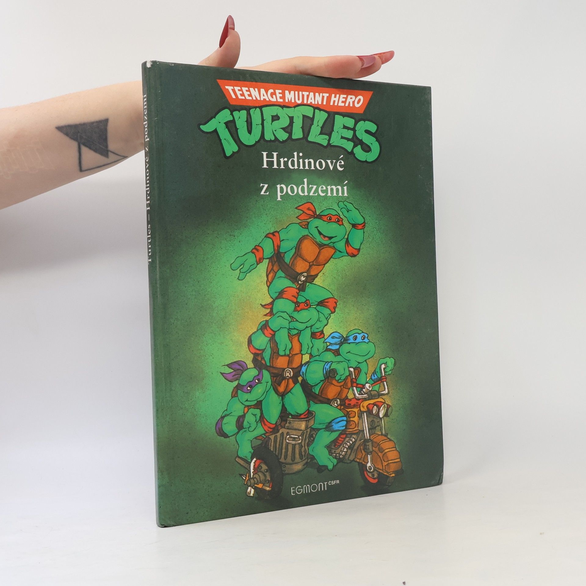 Maureen Spurgeon Teenage Mutant Ninja Turtles. Hrdinové z podzemí