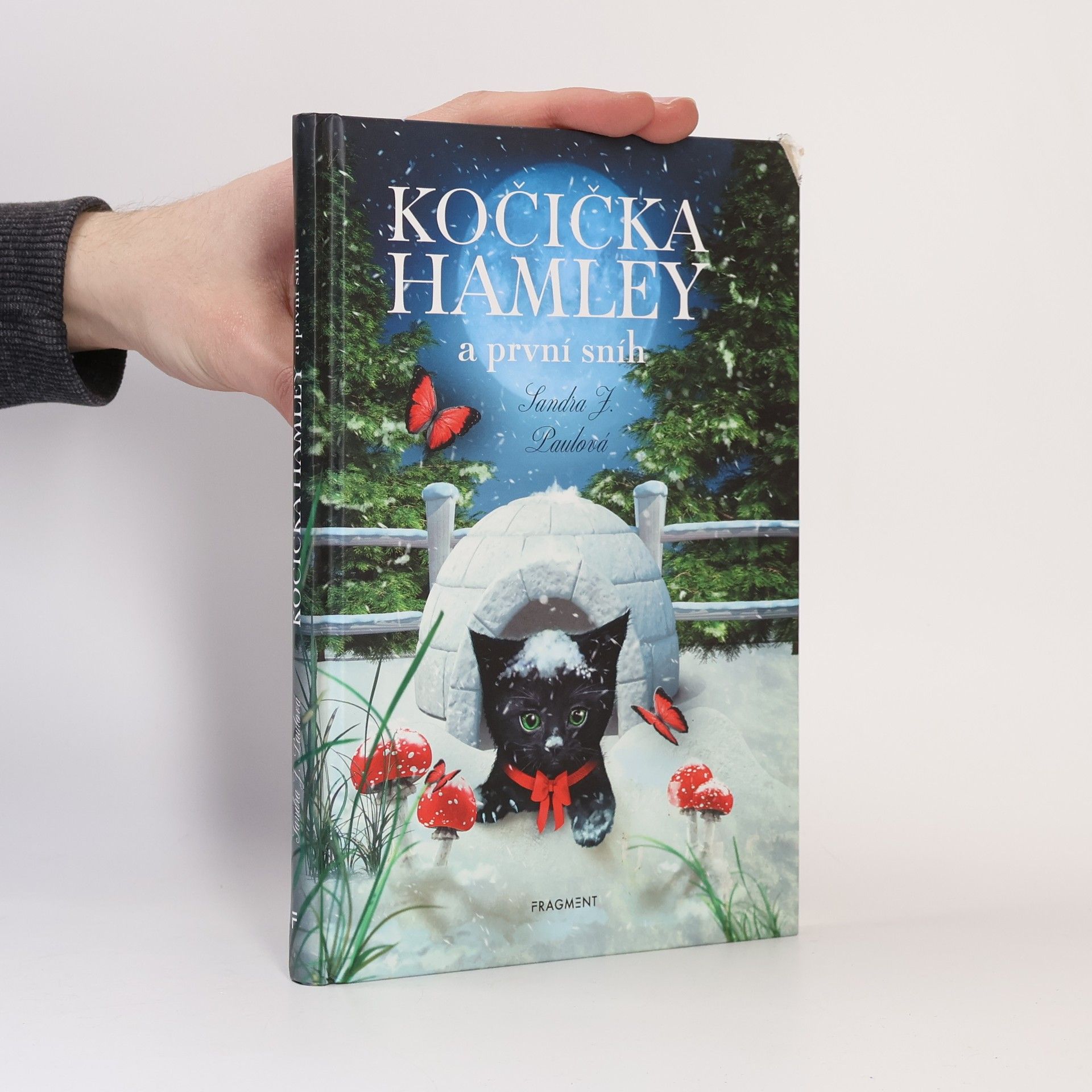 Kočička Hamley a první sníh