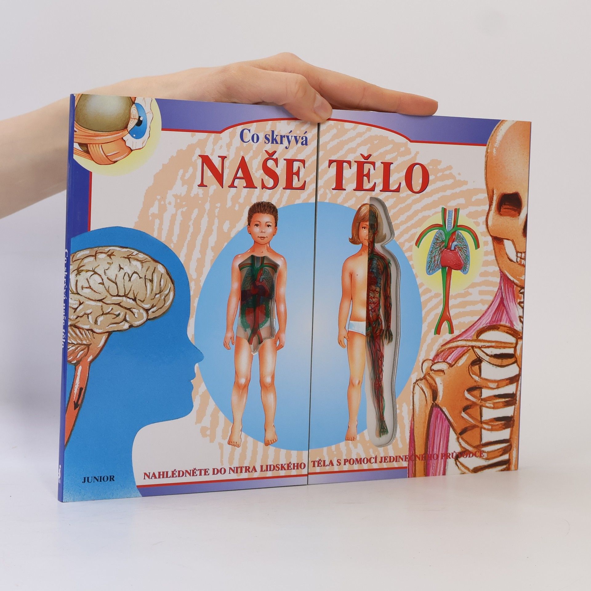 Michal Veselka Co skrývá naše tělo : nahlédněte do nitra lidského těla s pomocí jedinečného průvodce