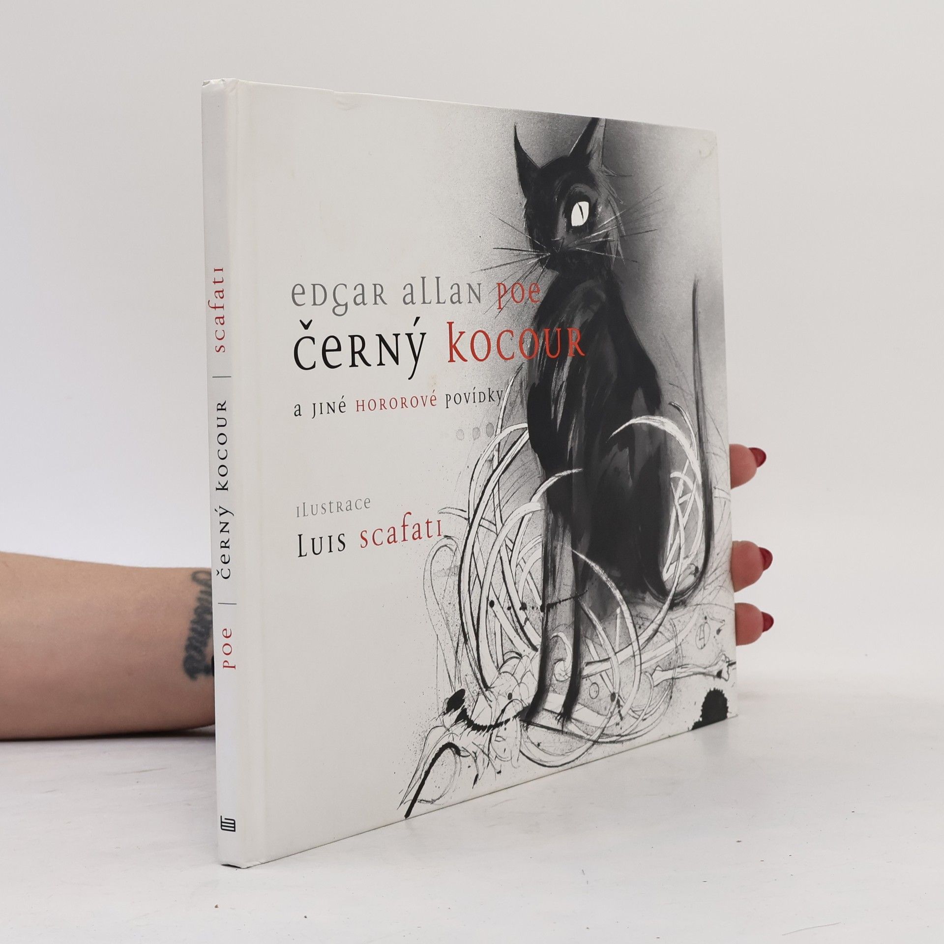 Edgar Allan Poe Černý kocour a jiné hororové povídky