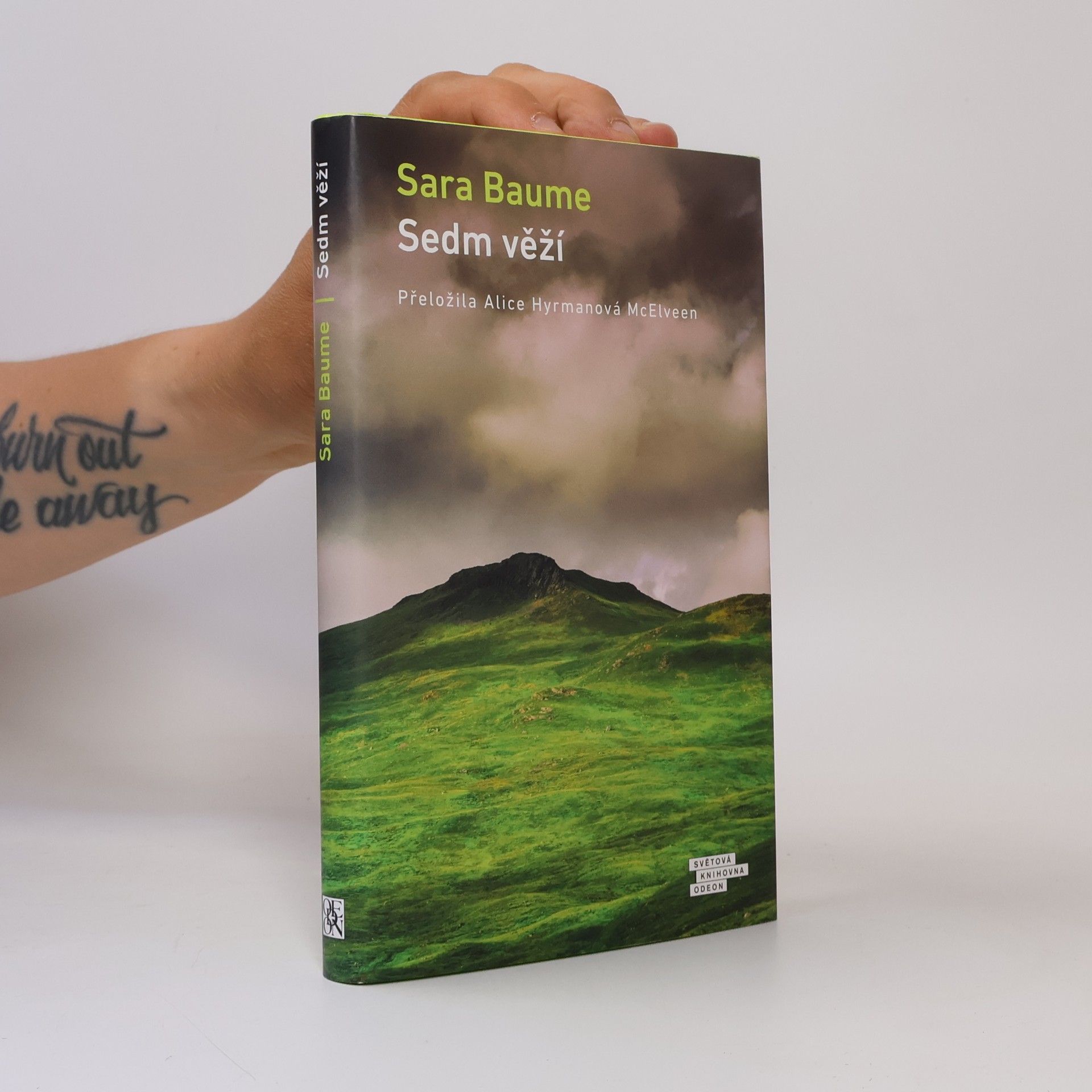Sara Baume Sedm věží