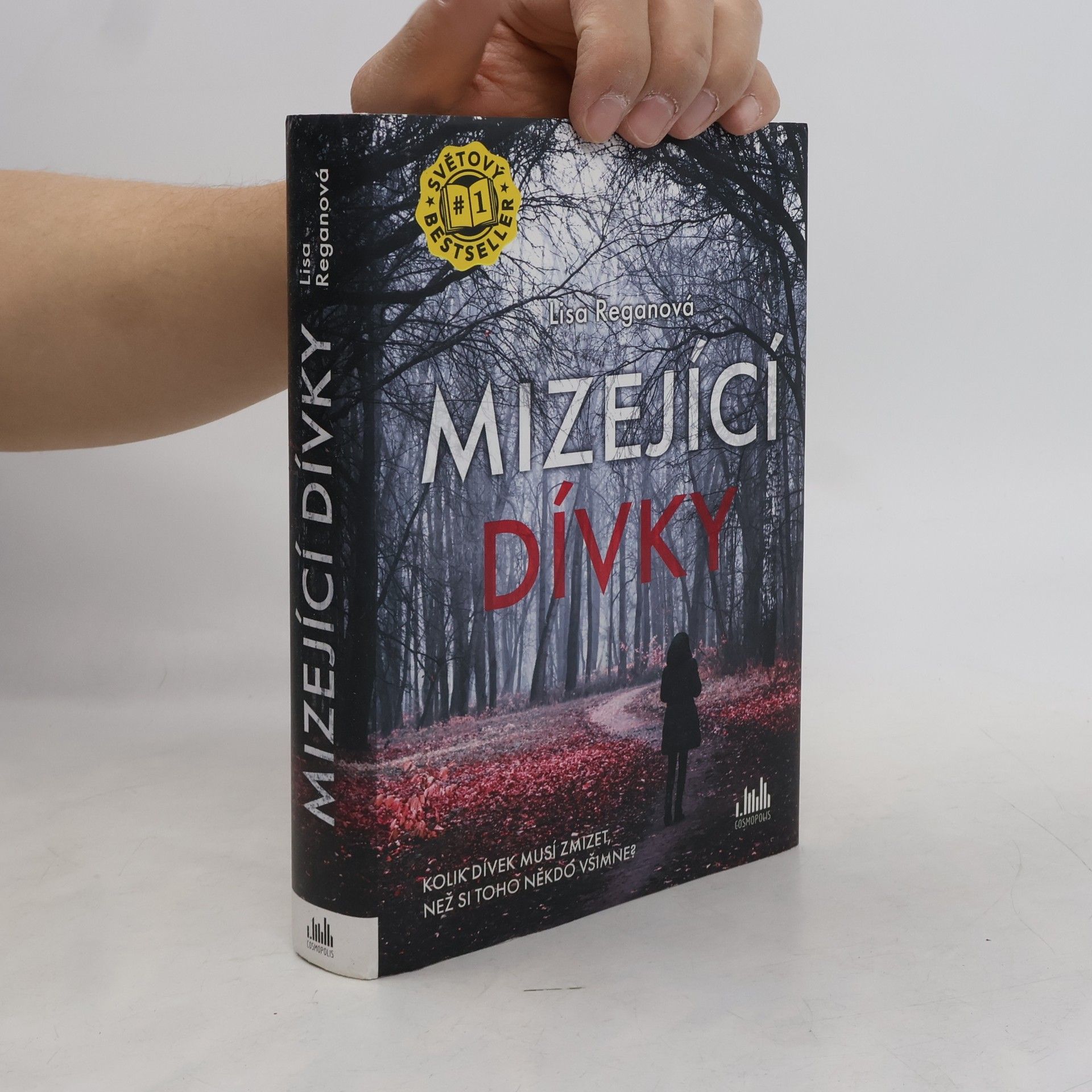 Lisa Regan Mizející dívky