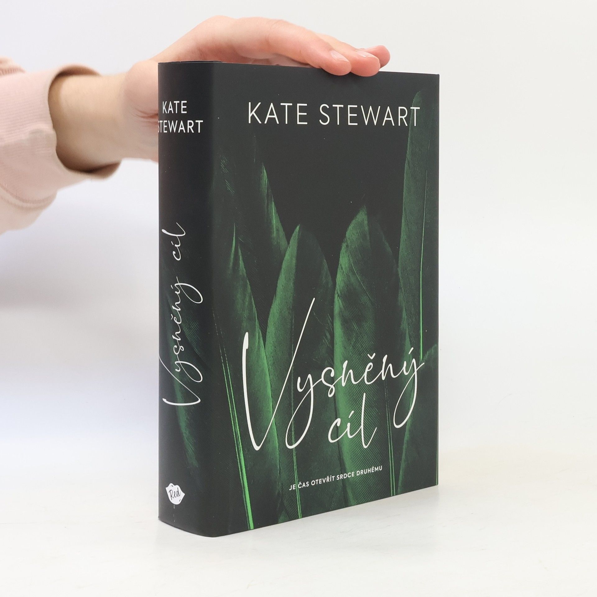 Kate Stewart Vysněný cíl. Kniha třetí