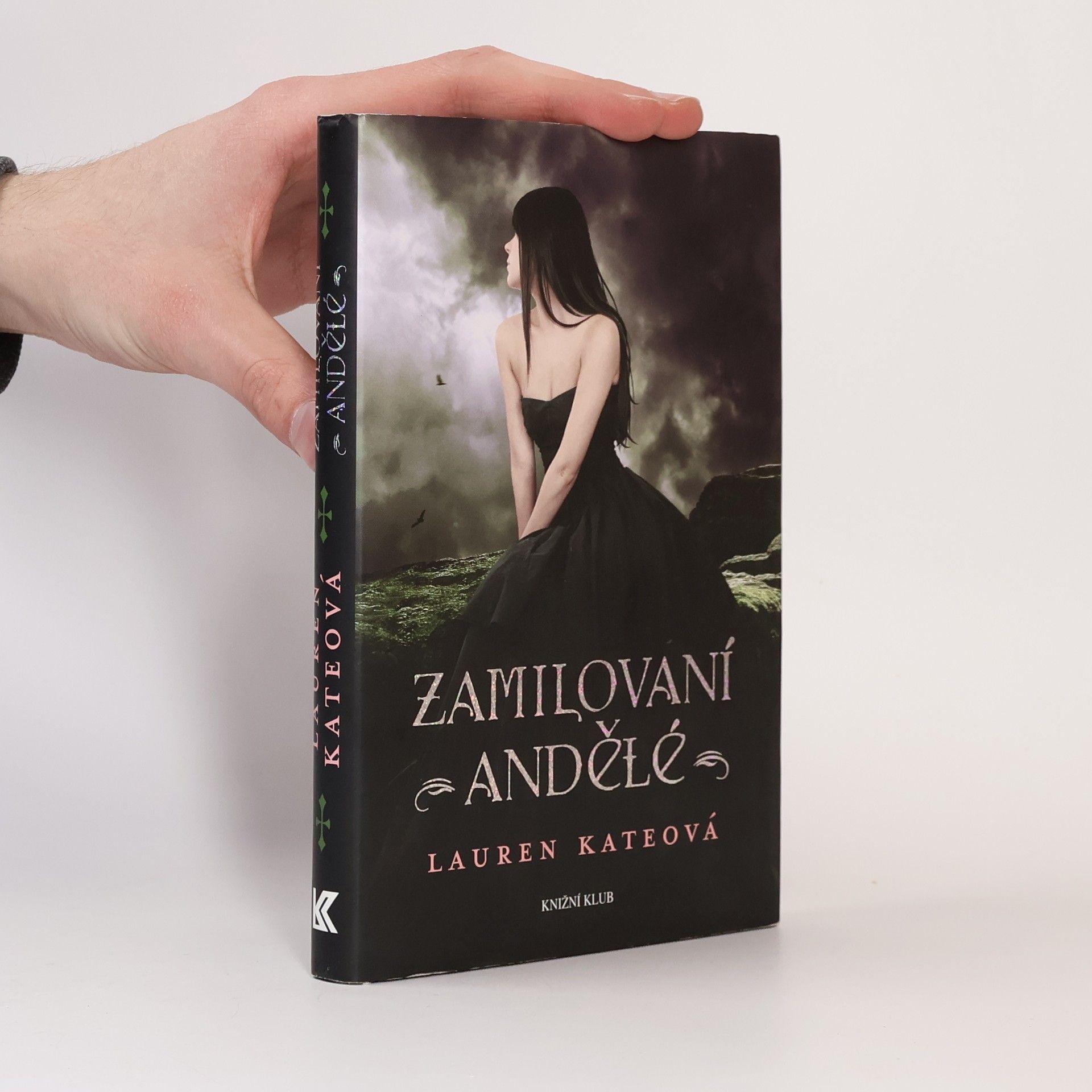 Lauren Kate Zamilovaní andělé