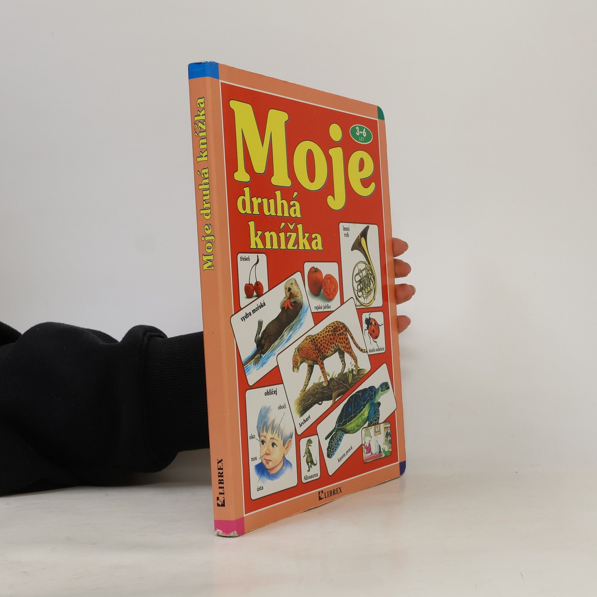 Autores varios Moje druhá knížka