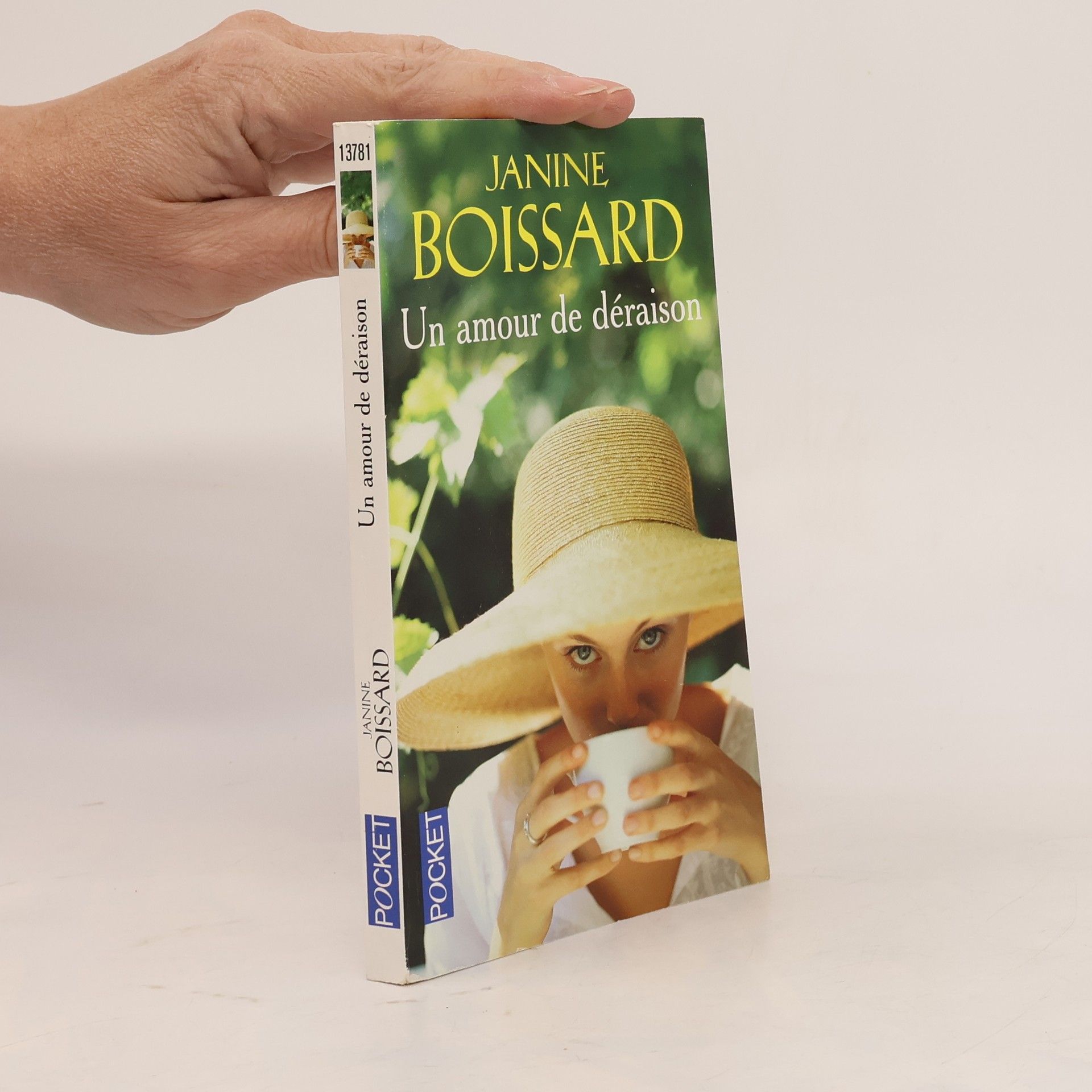 Janine Boissard Un amour de déraison